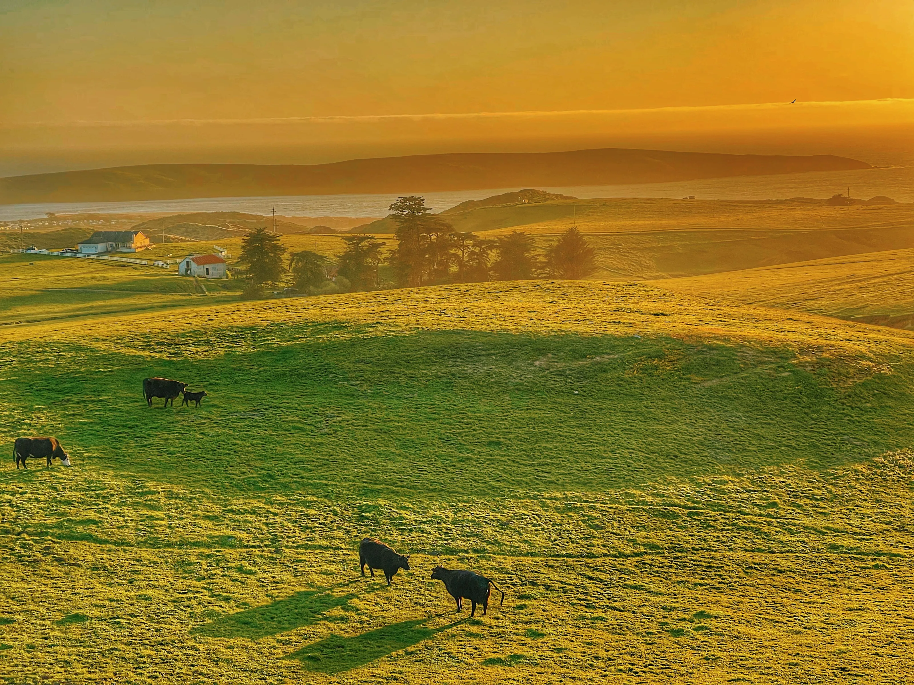 Farm life