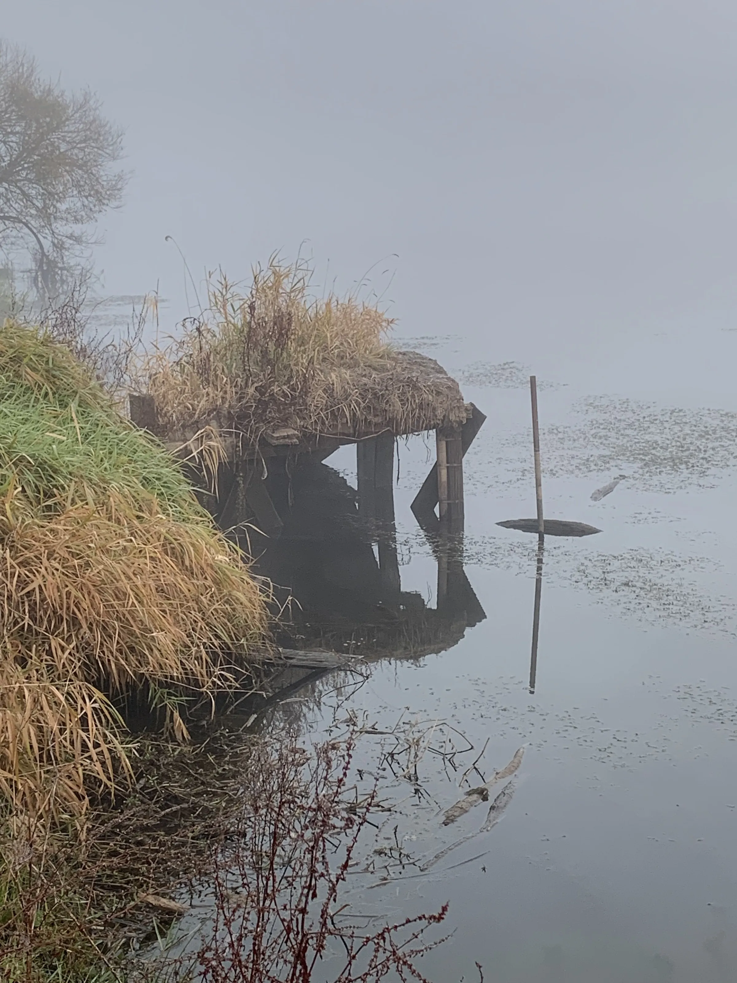 Abandoned river stand on a foggy morning