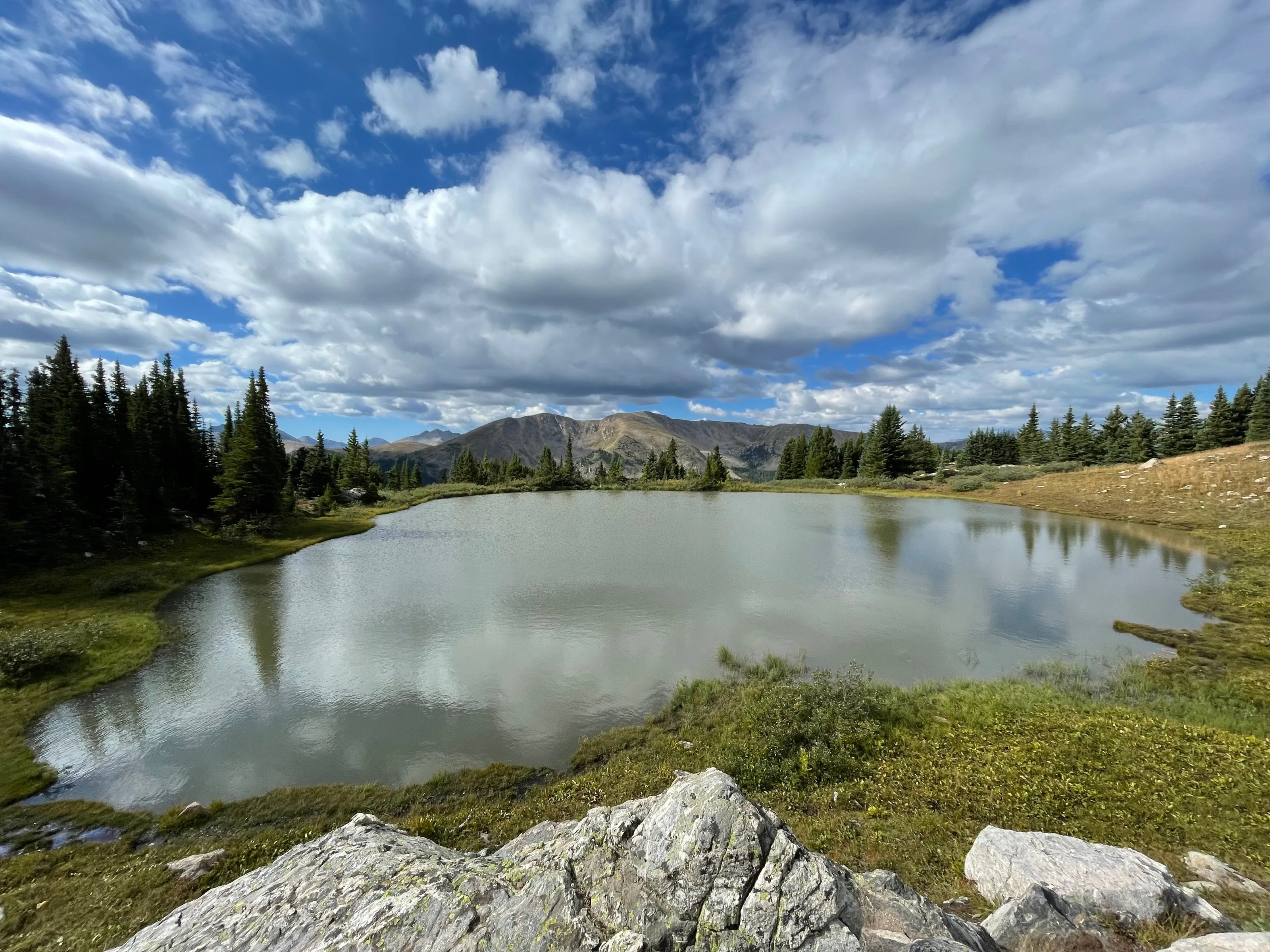 Alpine Pond