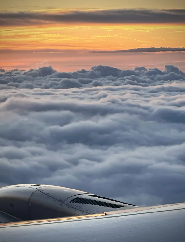 Plane view