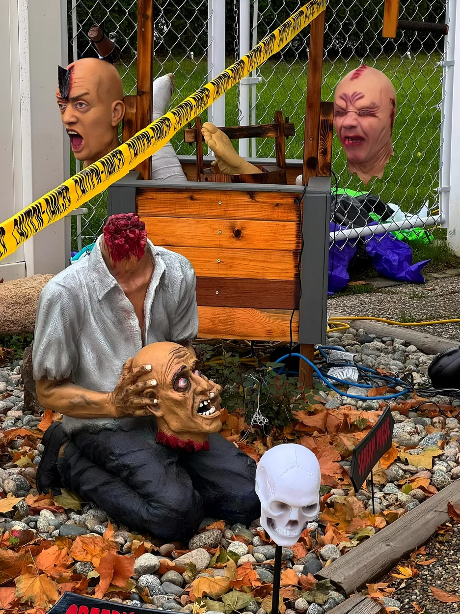 Entry 22186761