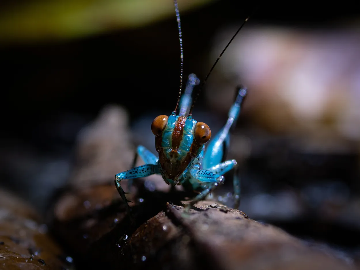 Entry 23949445