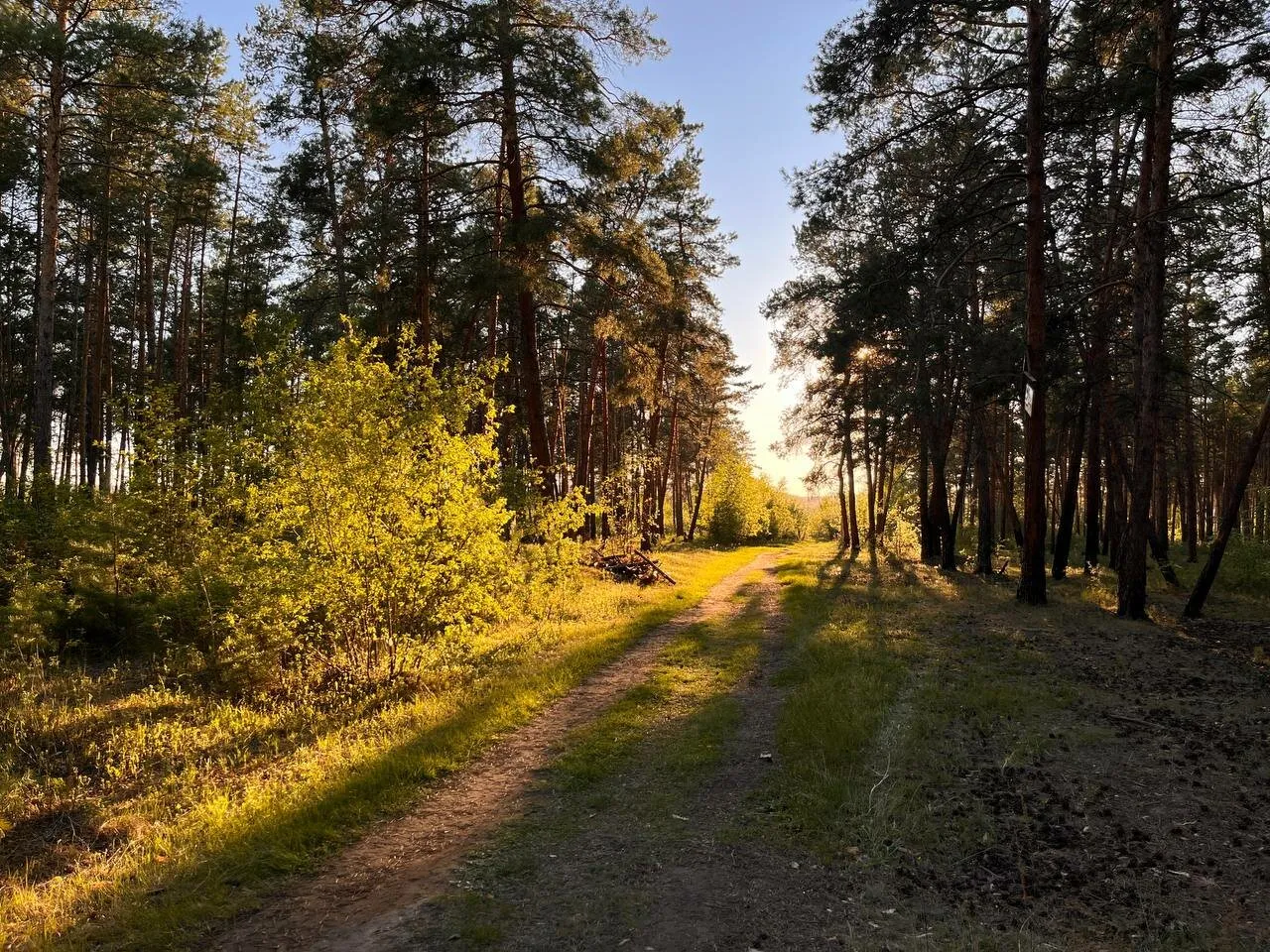 Fairy Yakutian Summer