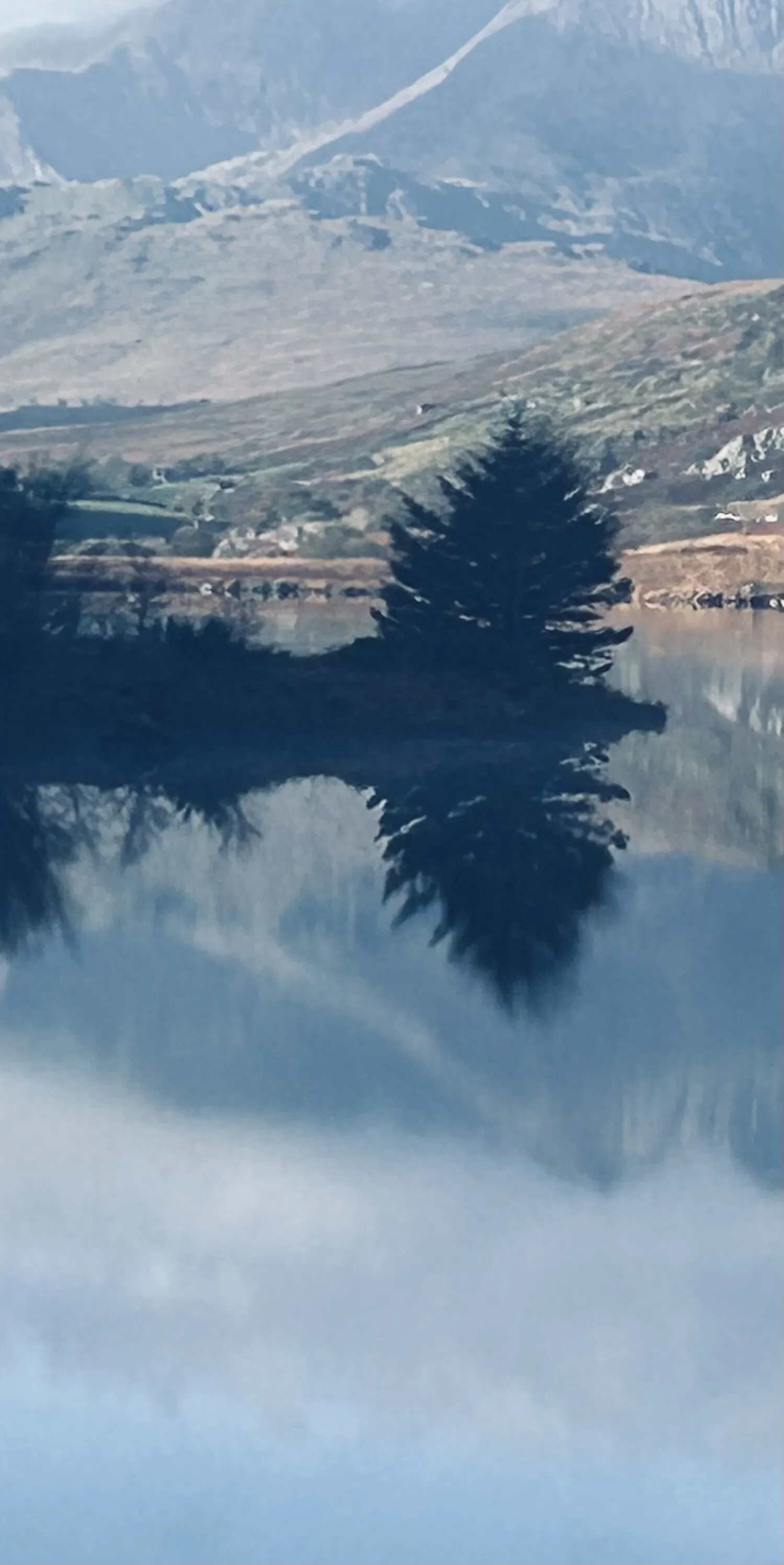 Stillness
