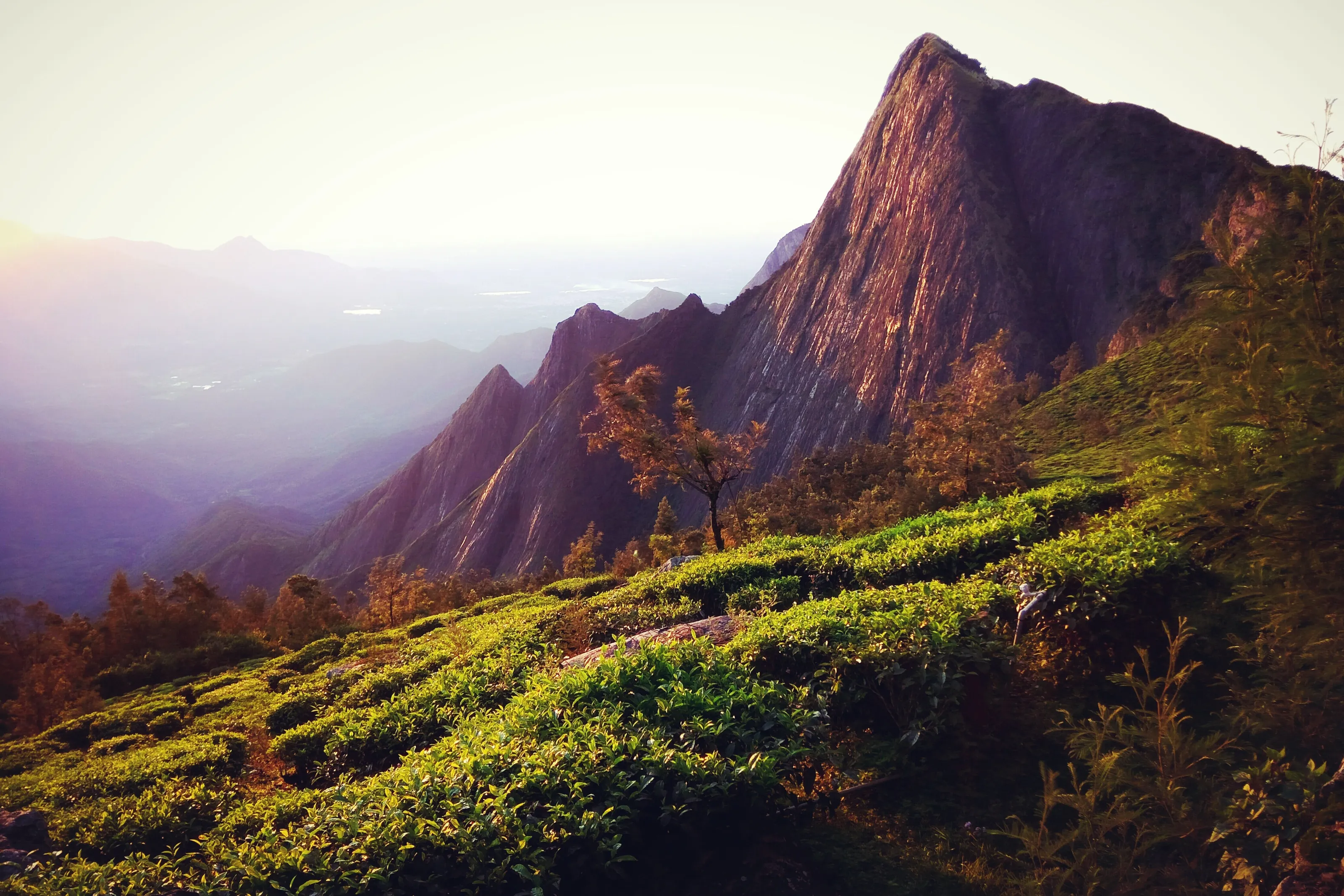 Kolukkumalai