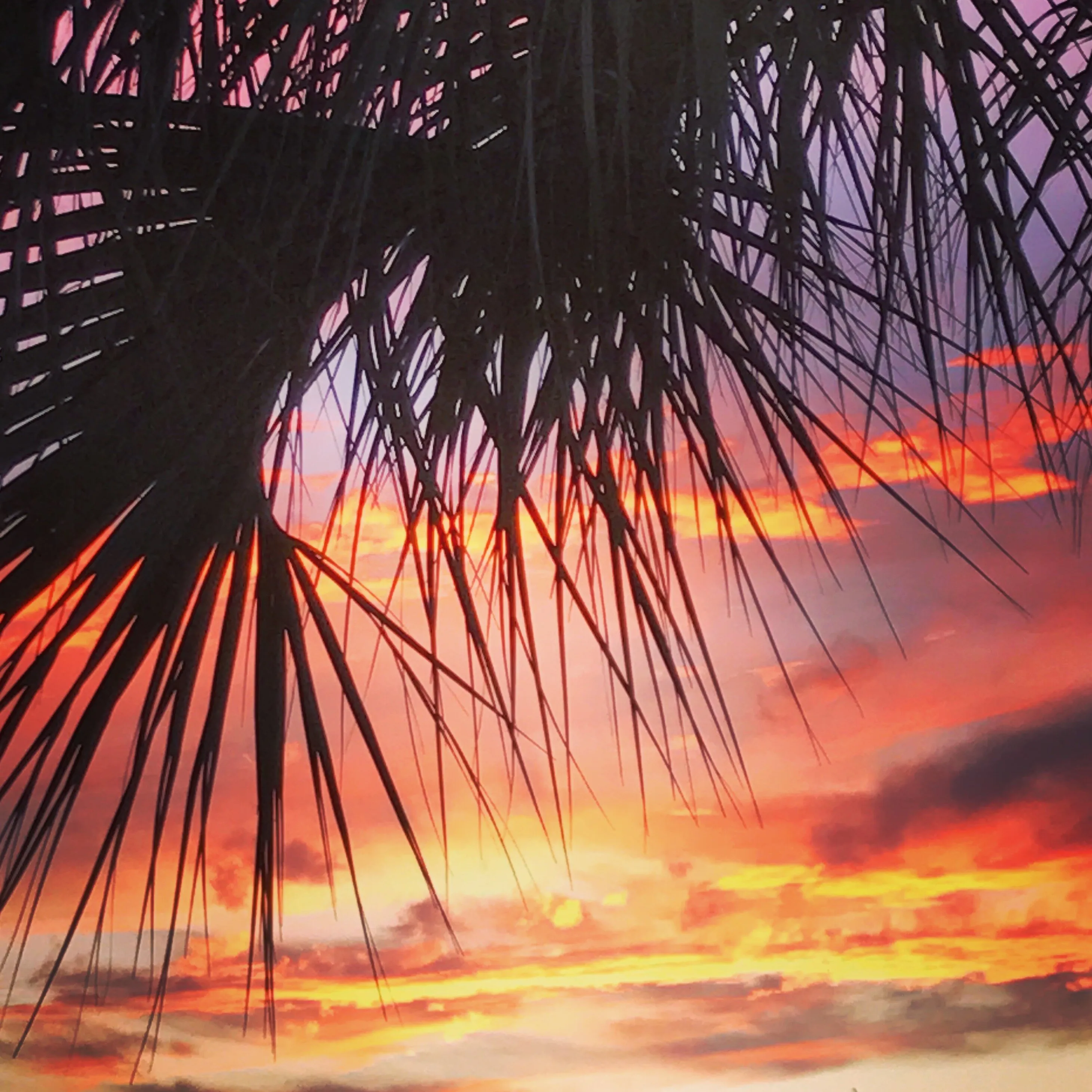 Silhouette Sunset