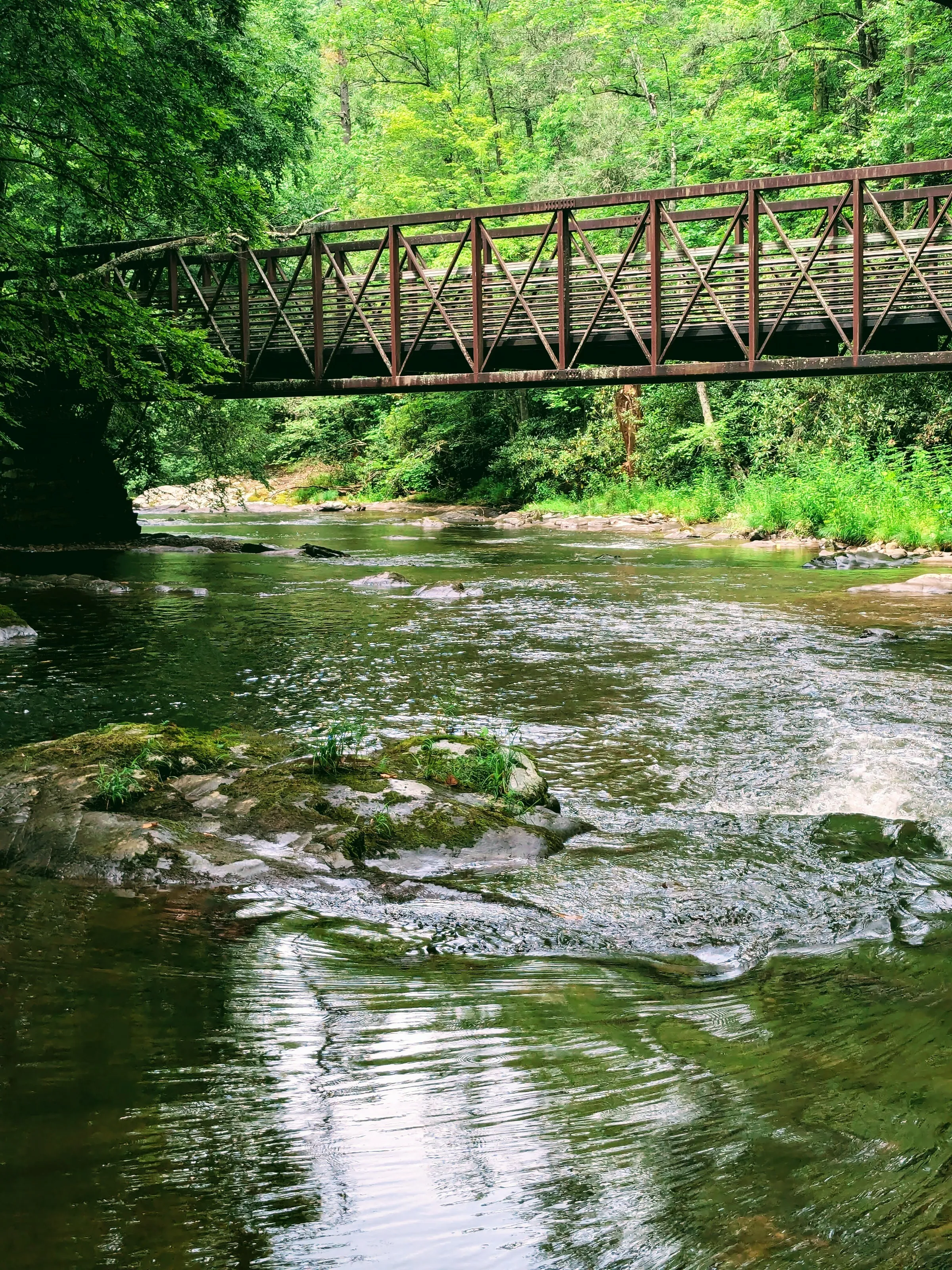 creeper trail bridge