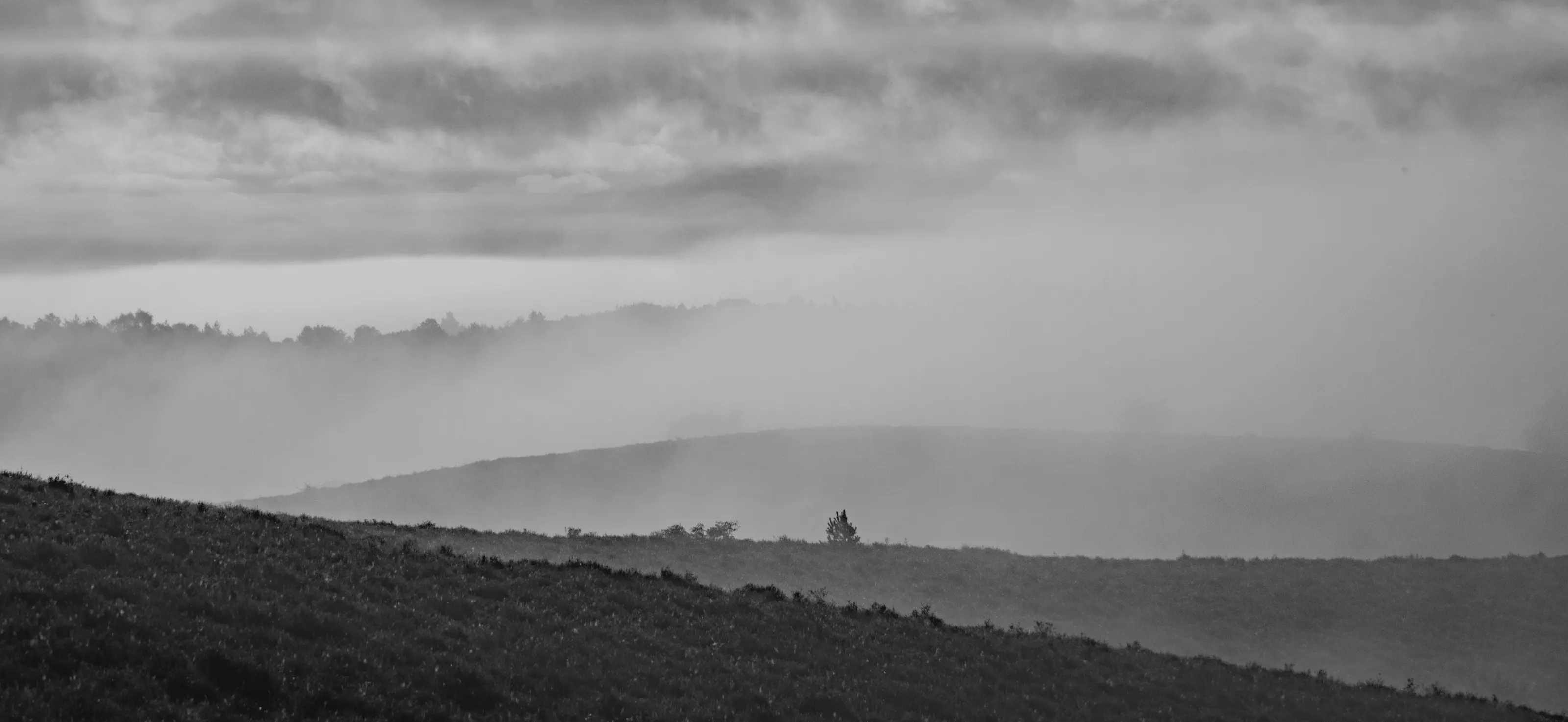 Misty Sunrise