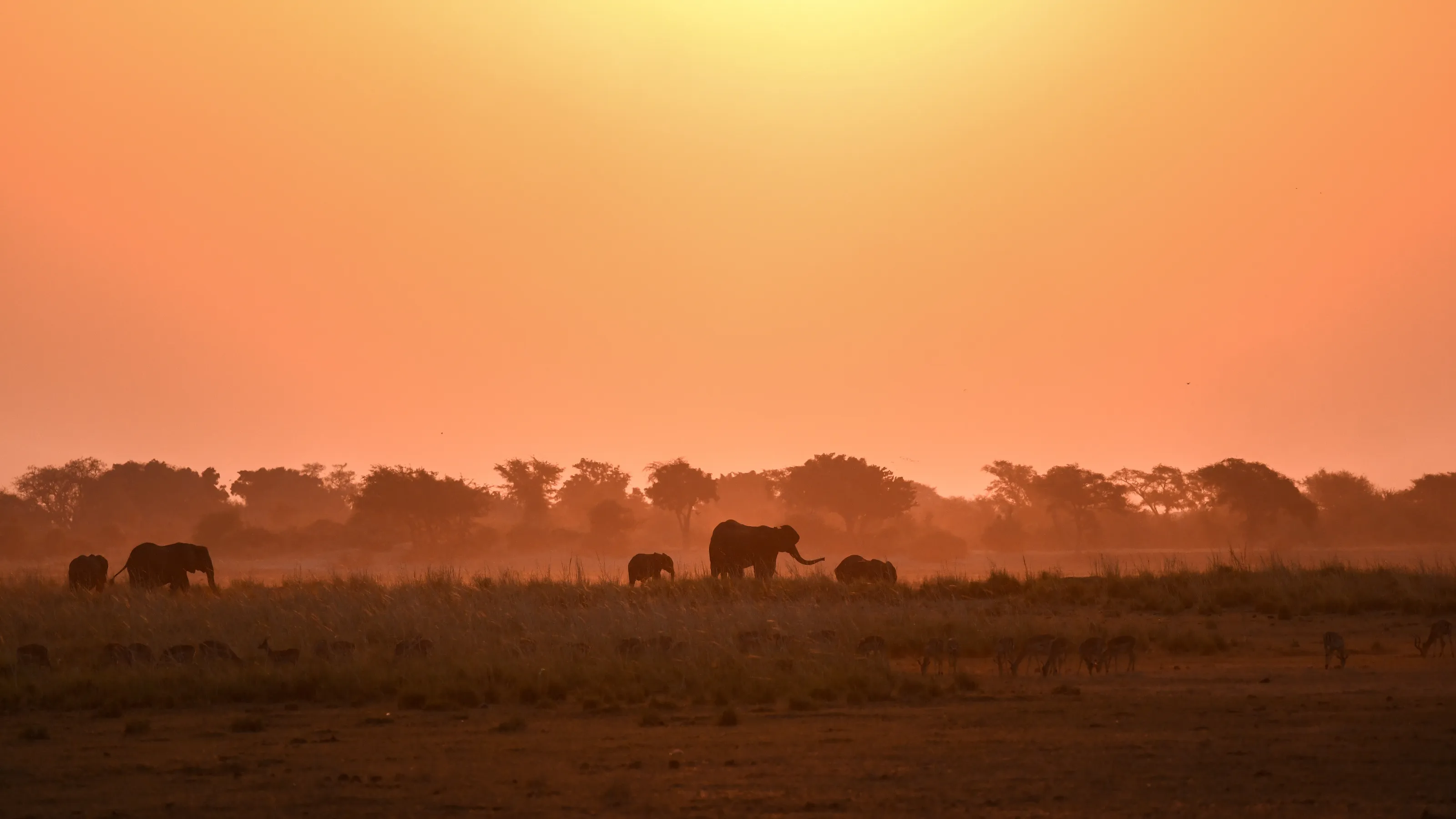 Sunset in Botswana!