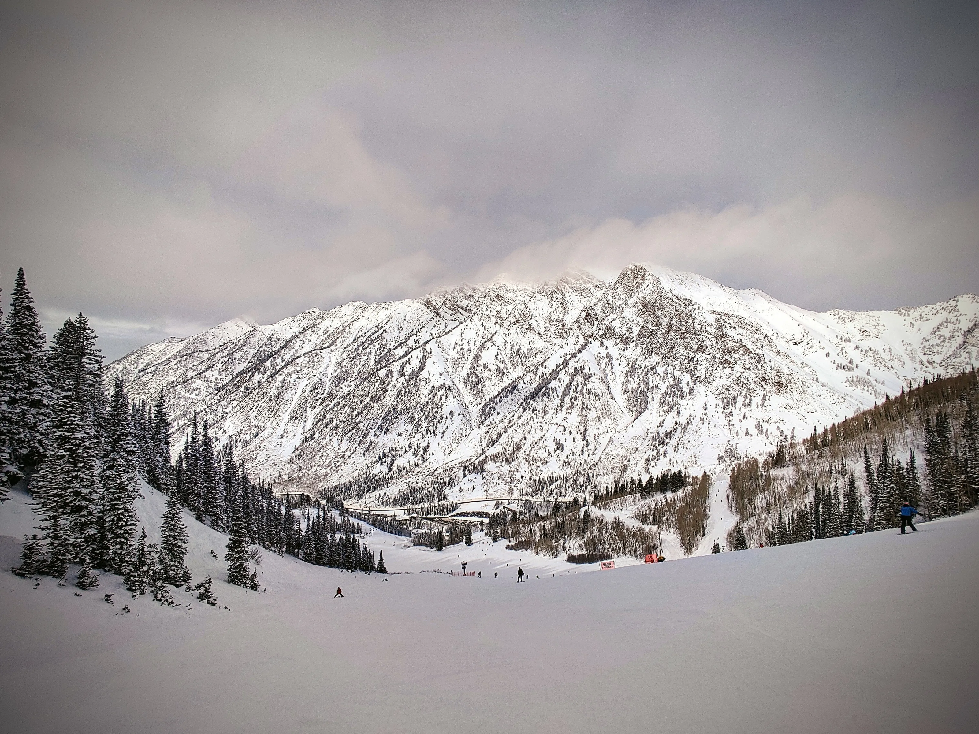 Gliding Beneath the Snow-Capped Mountains