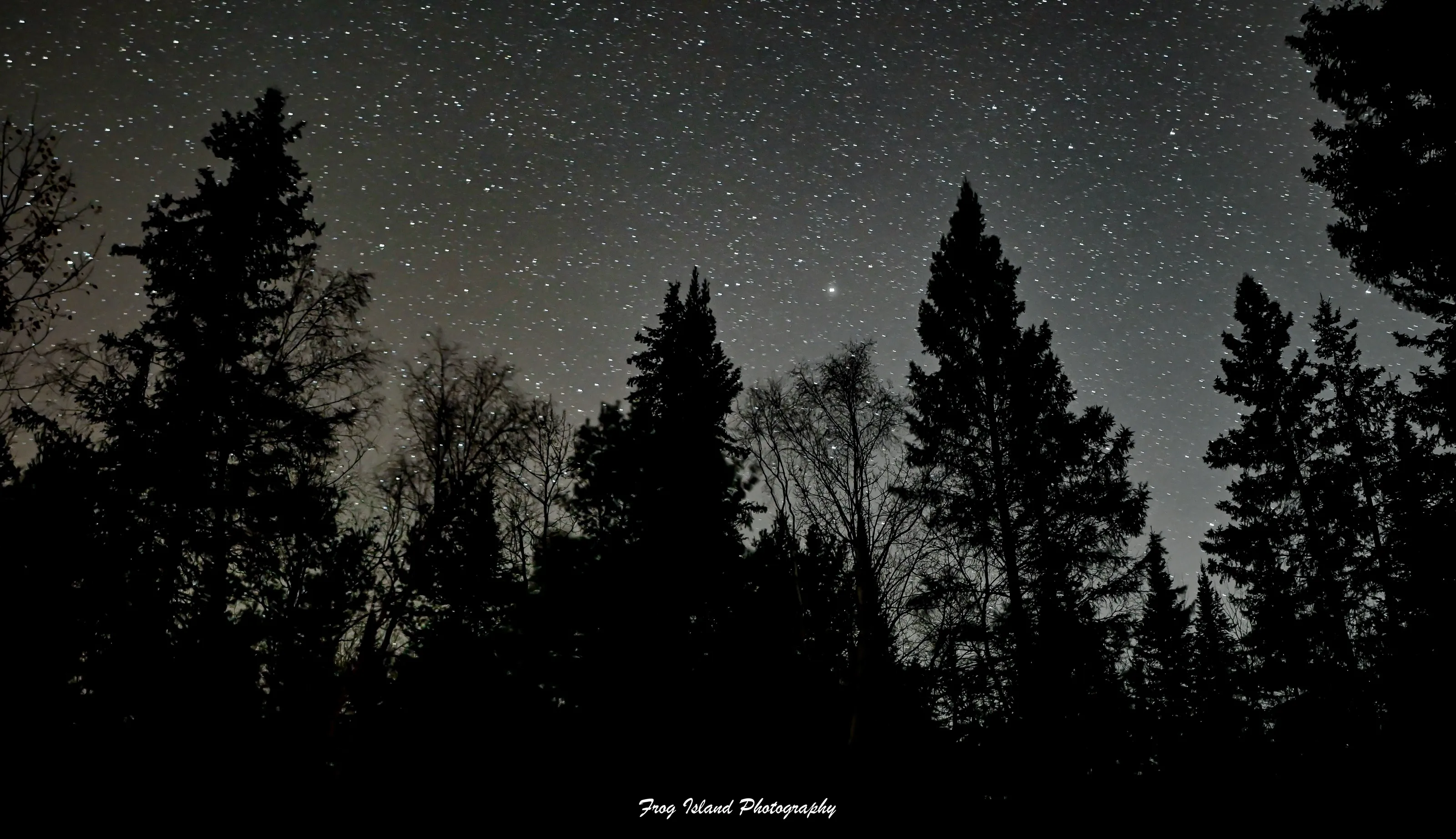 Starry Starry Night