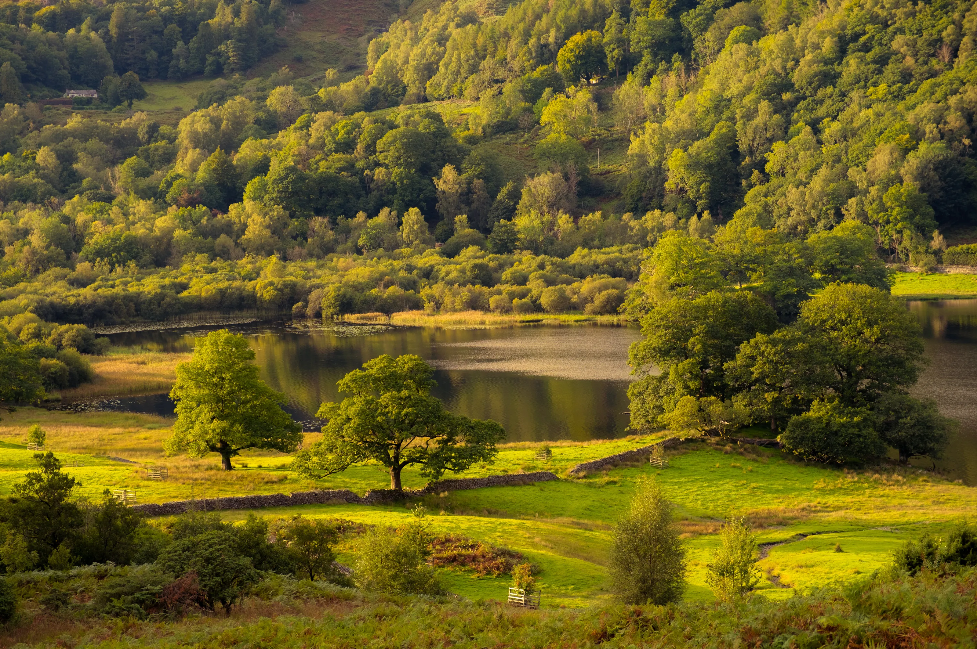 Sleepy Valley