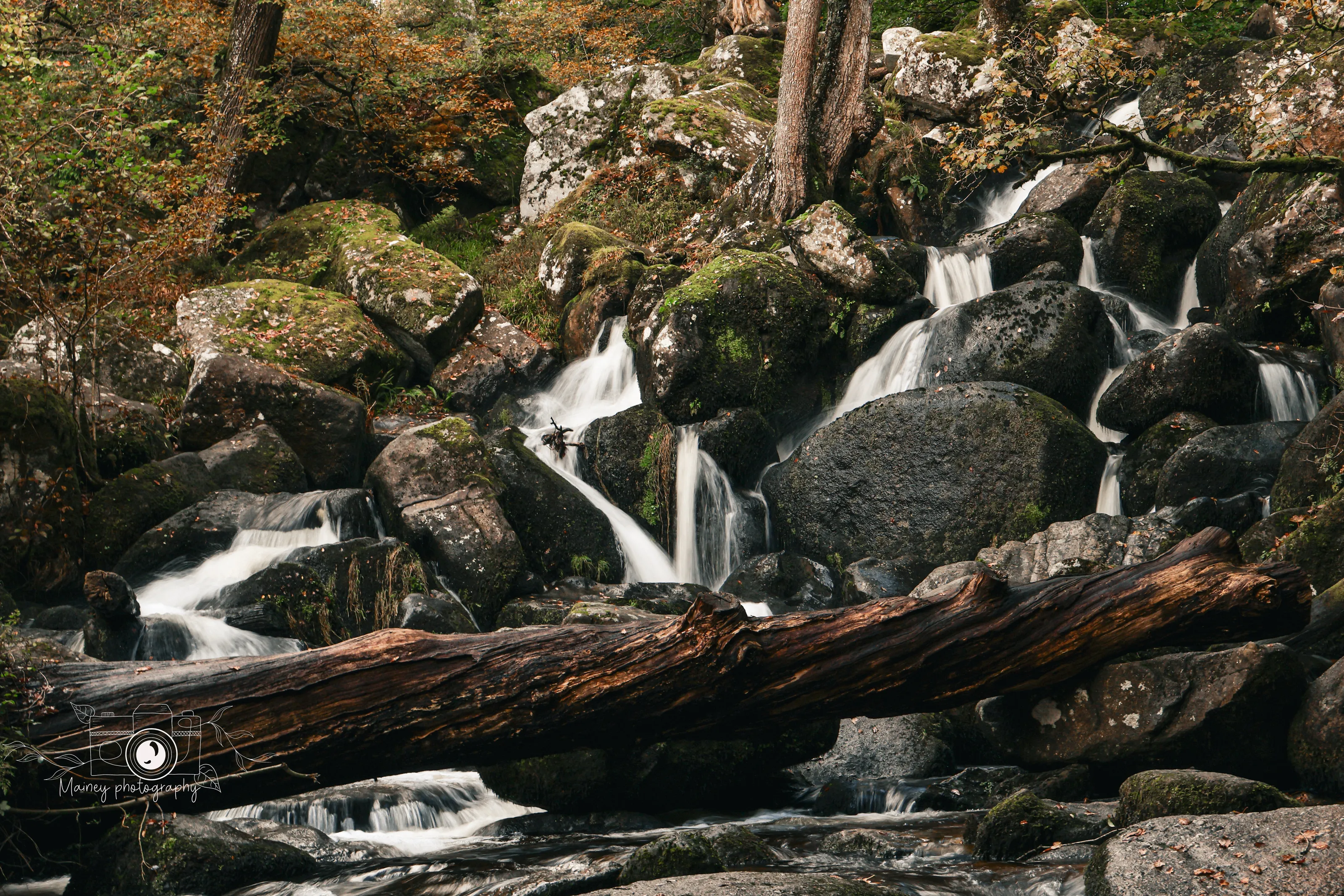 Serenity falls