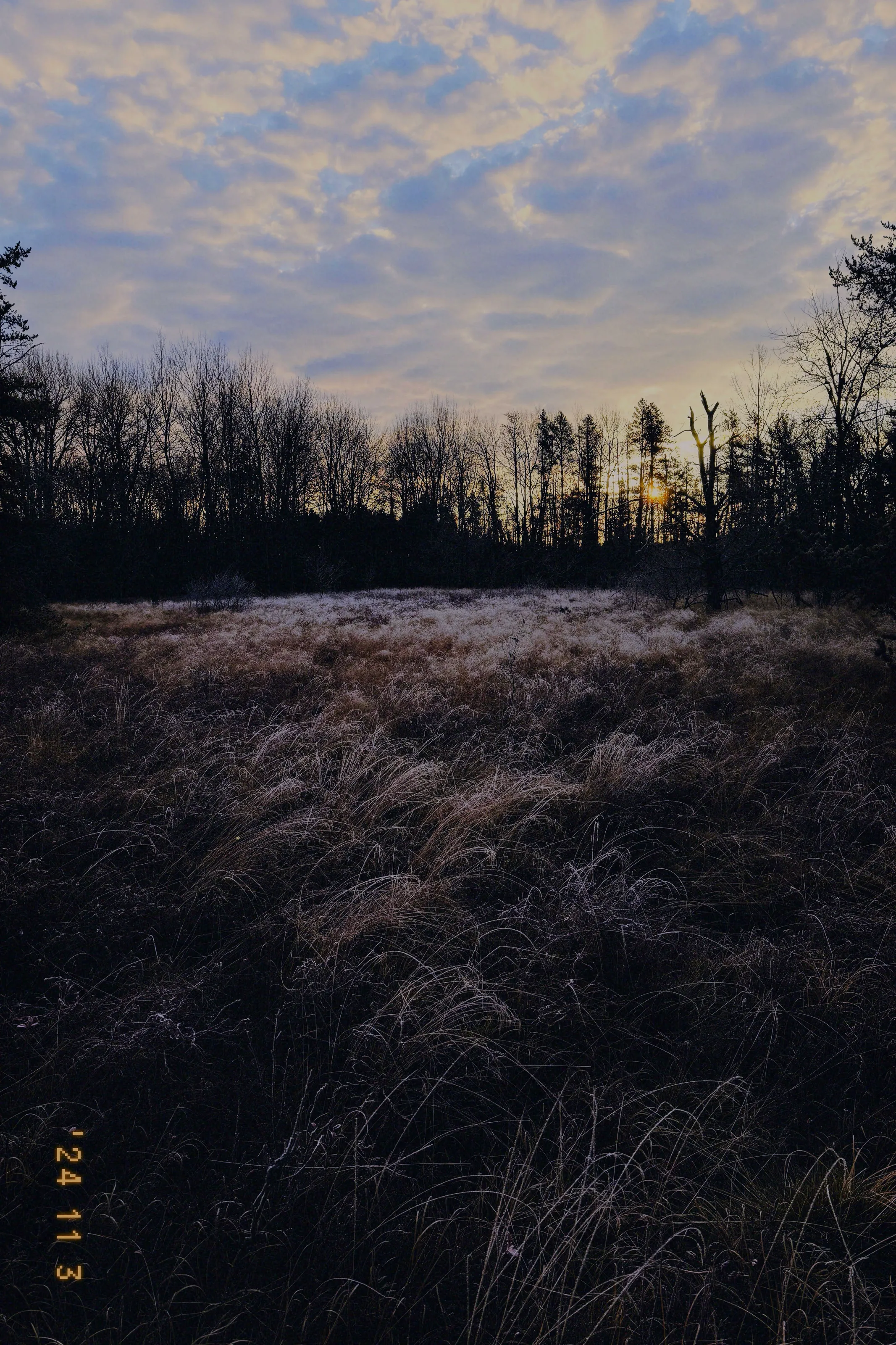 Frost