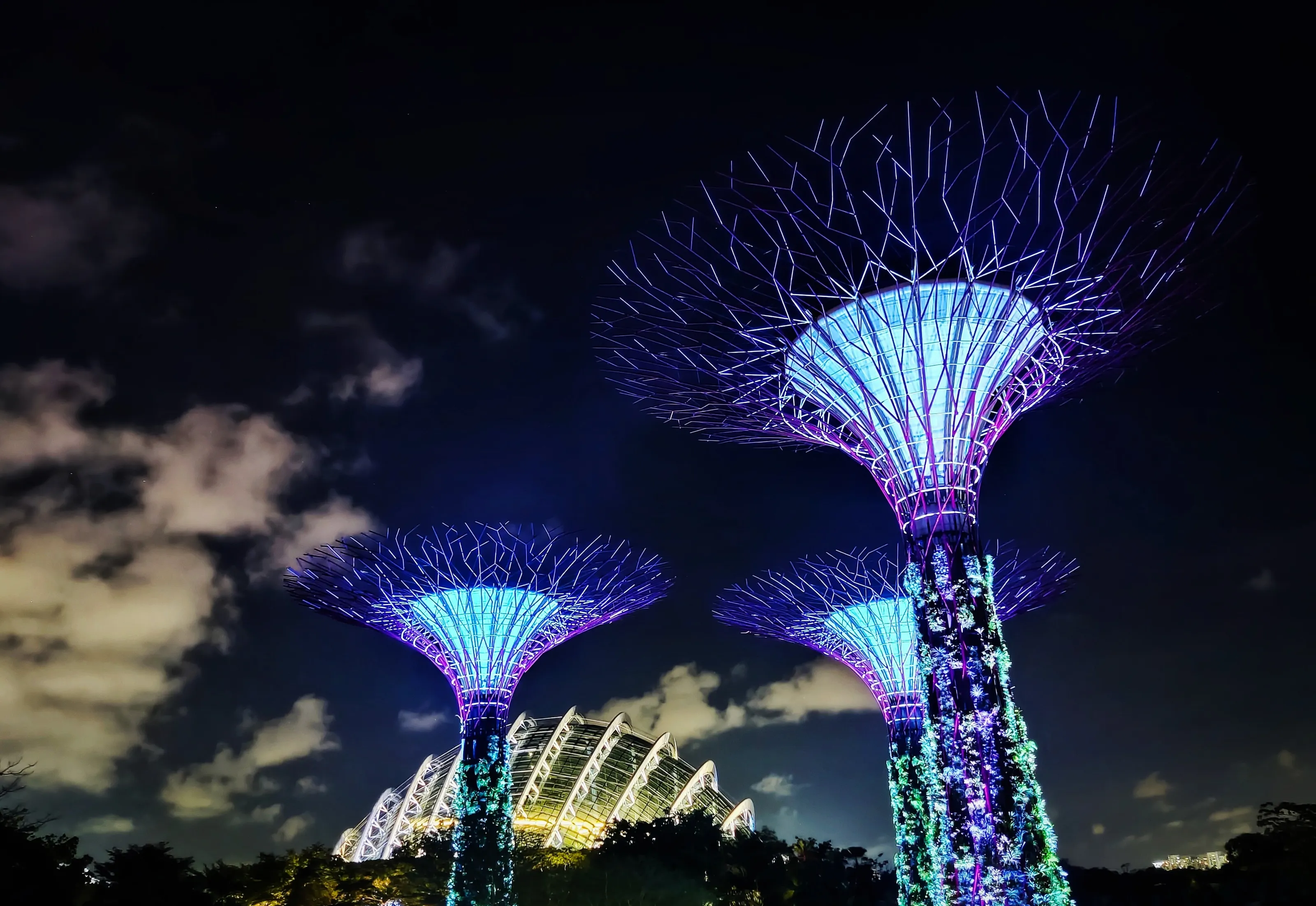 Where the trees literally touch the skies - The Garden Rhapsody, Singapore