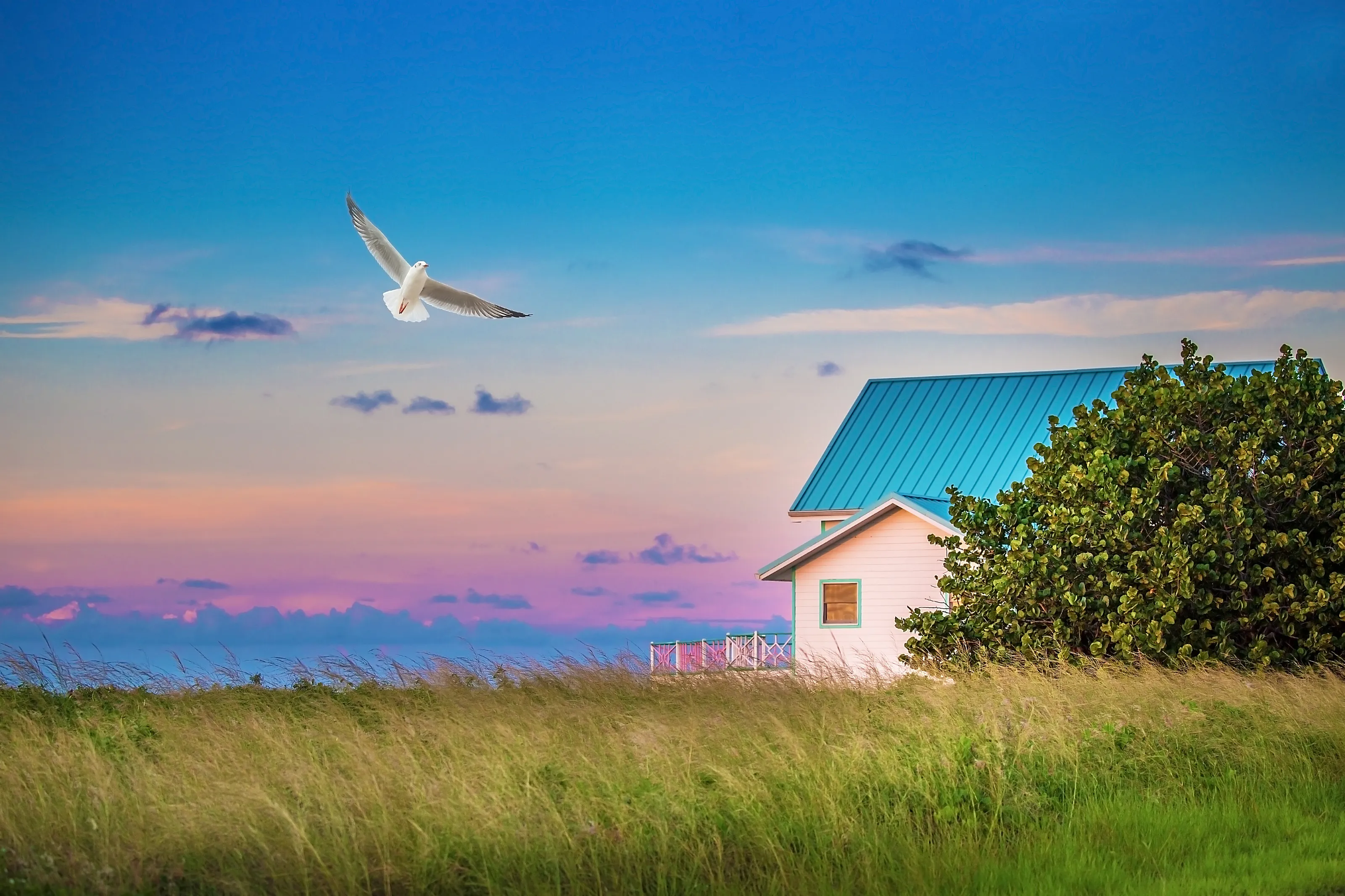 House by The Sea