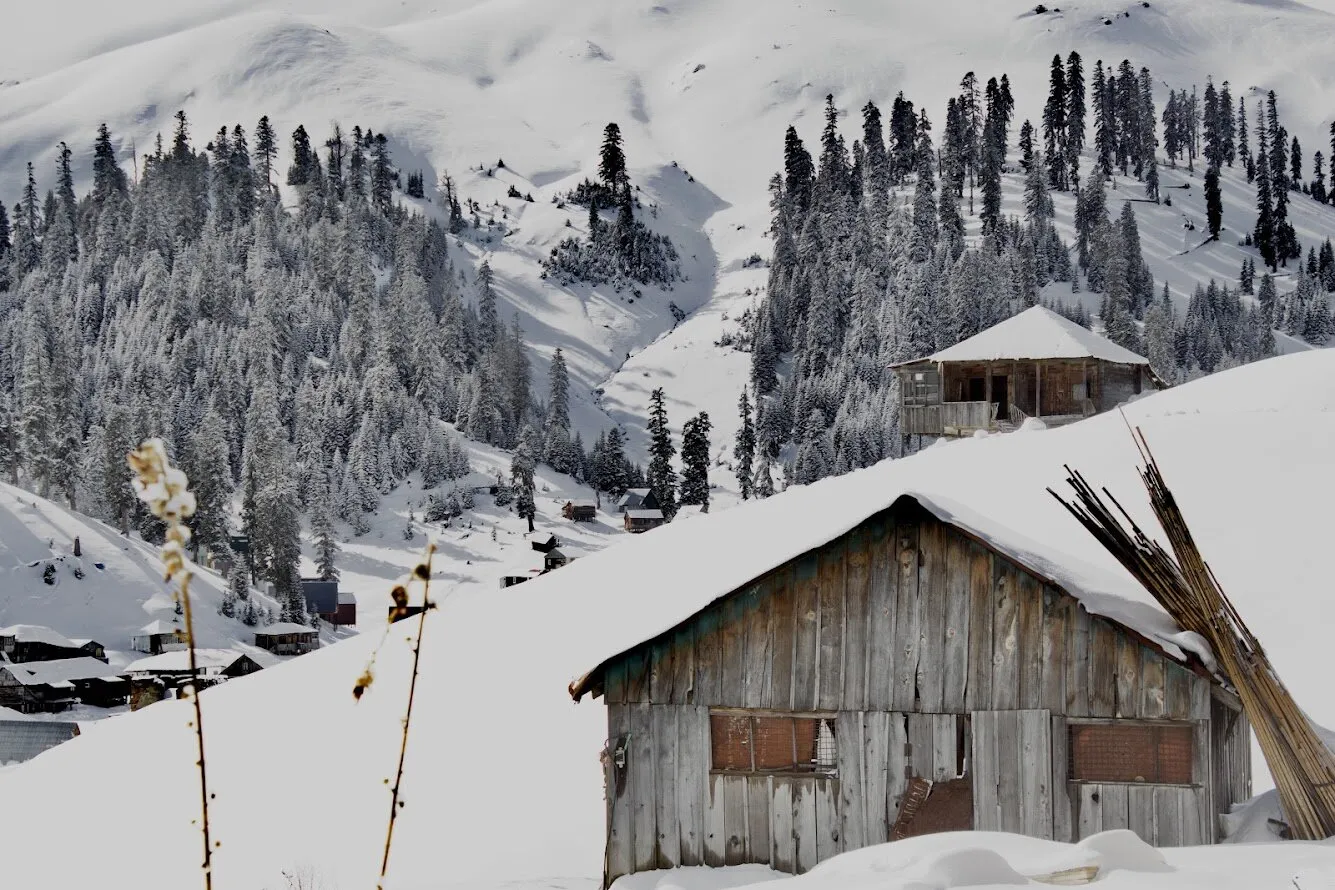 Combination of autumn and winter