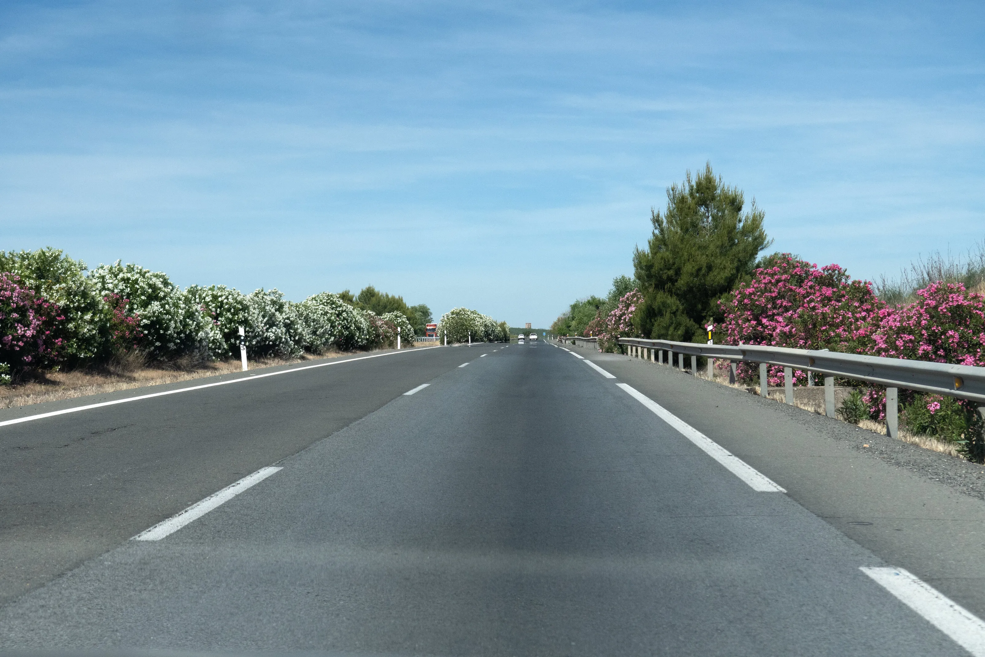 Flowery motorway in south of Spain