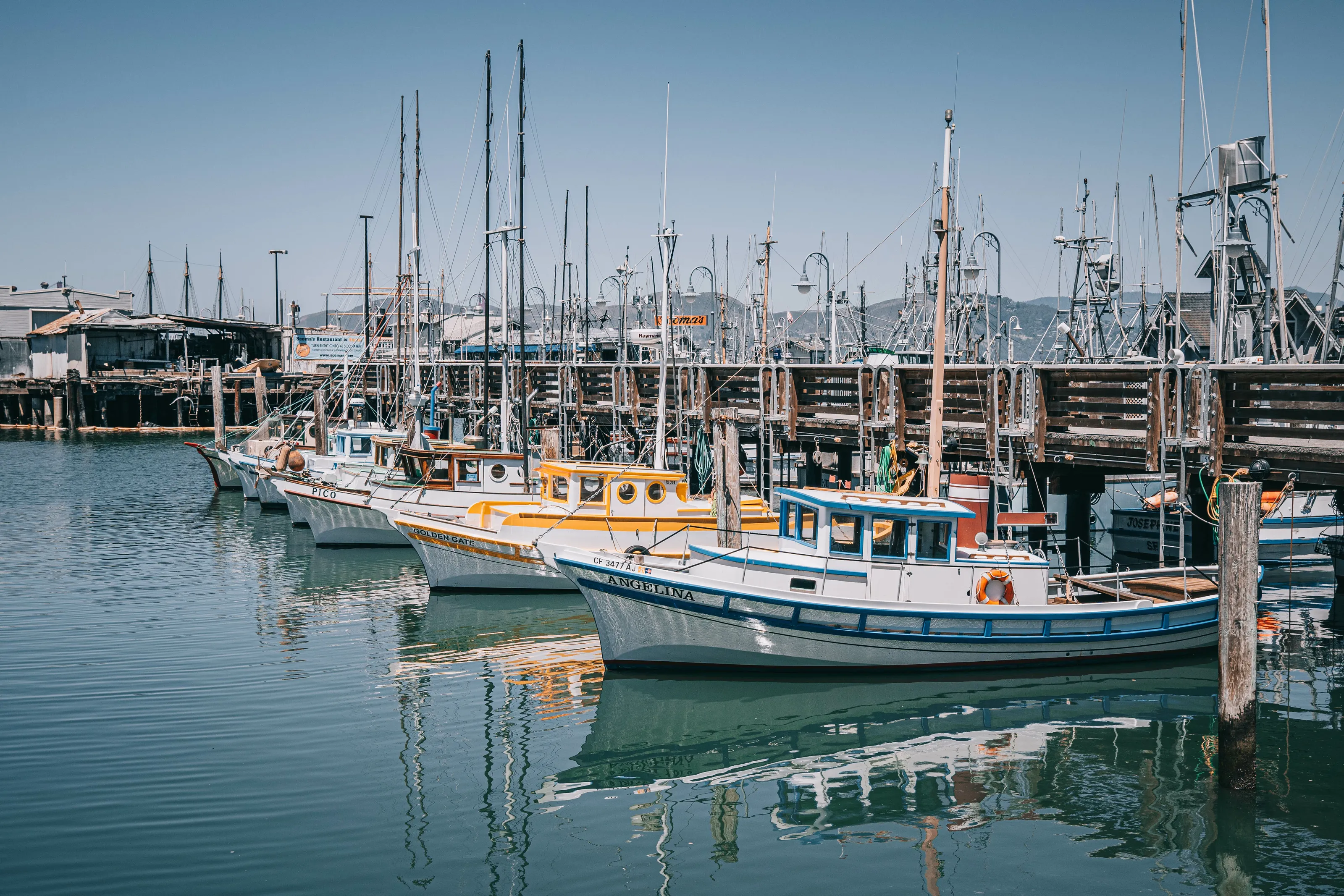 Friends at the Harbor