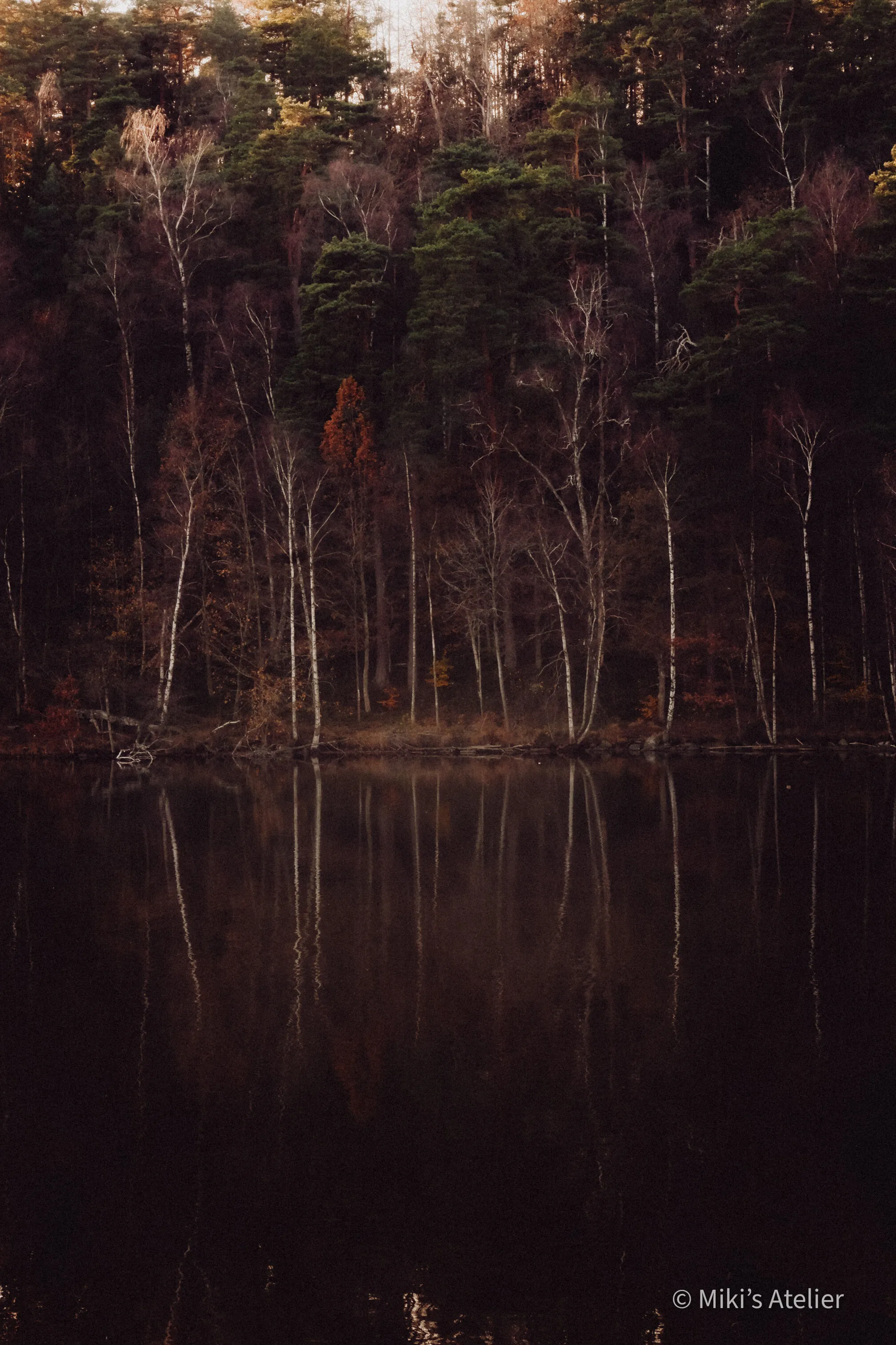 Fall in Fairyland