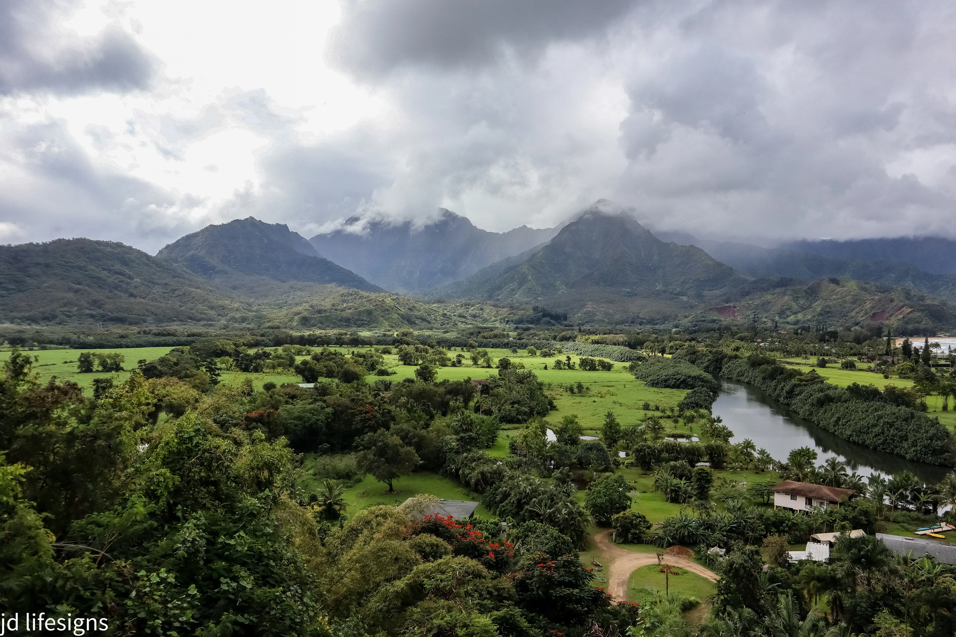 Kauai roadside