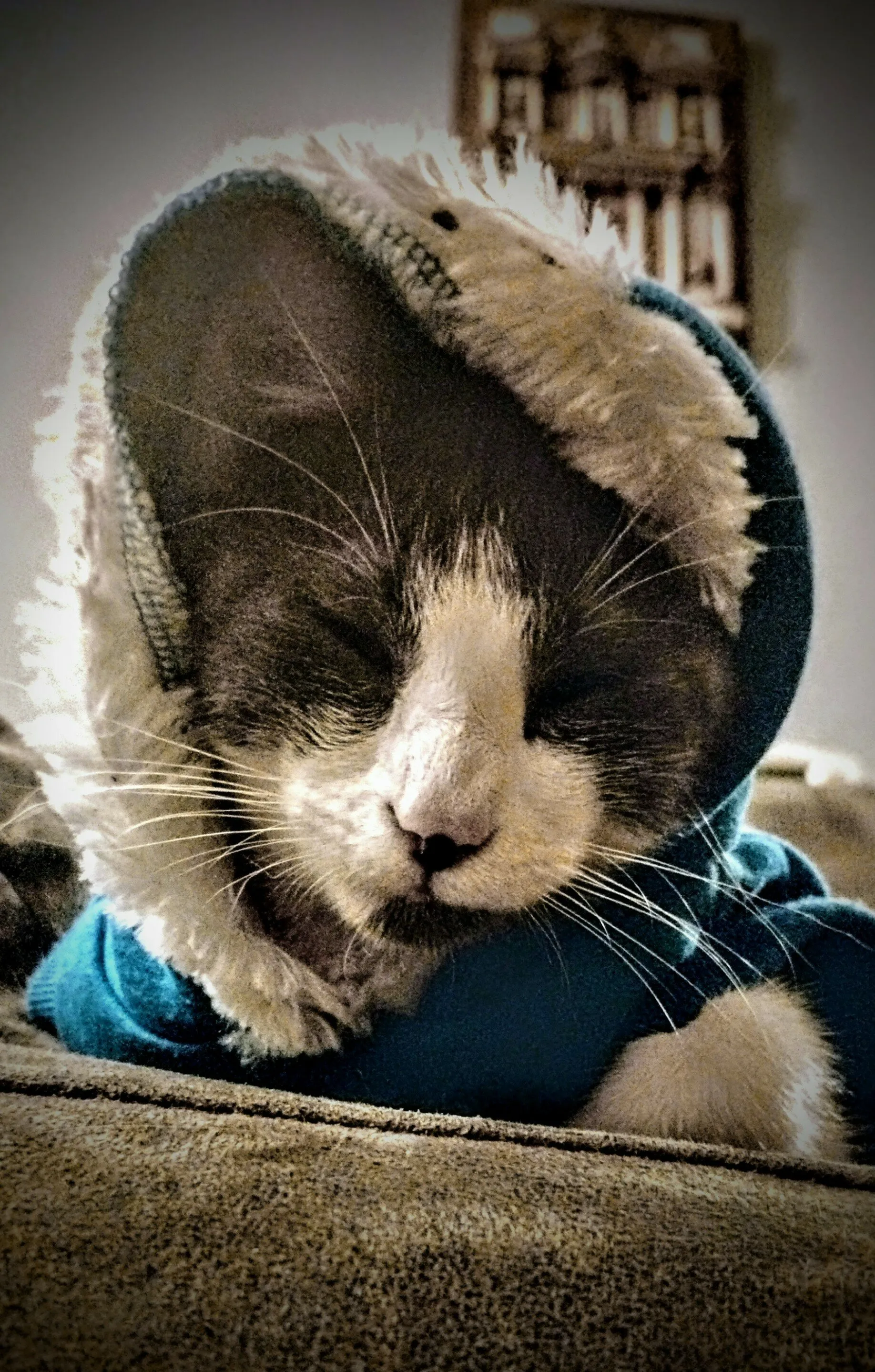 Marshmellow
