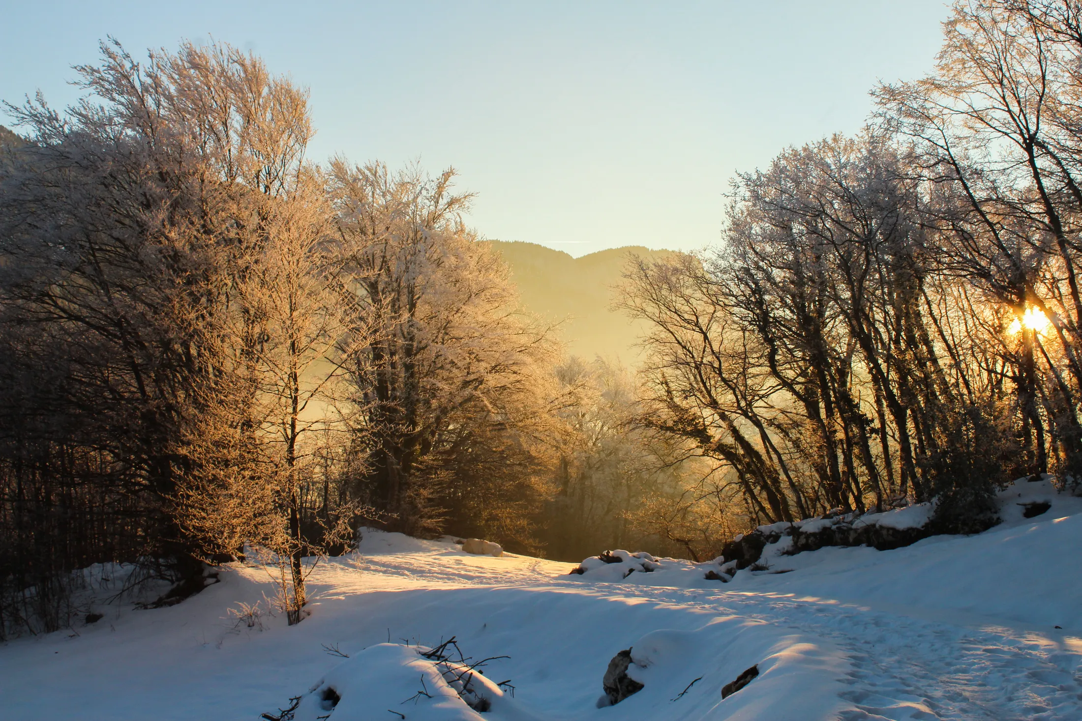 Winter walk
