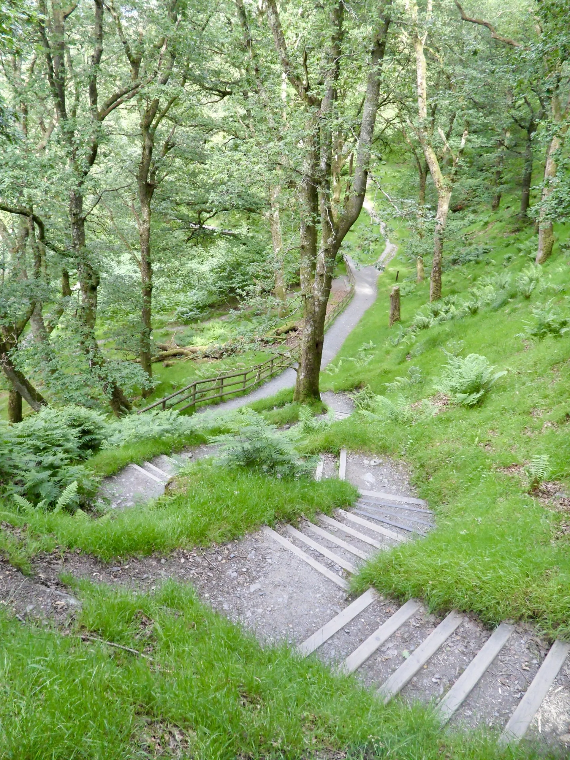 Looking down in Glendalough