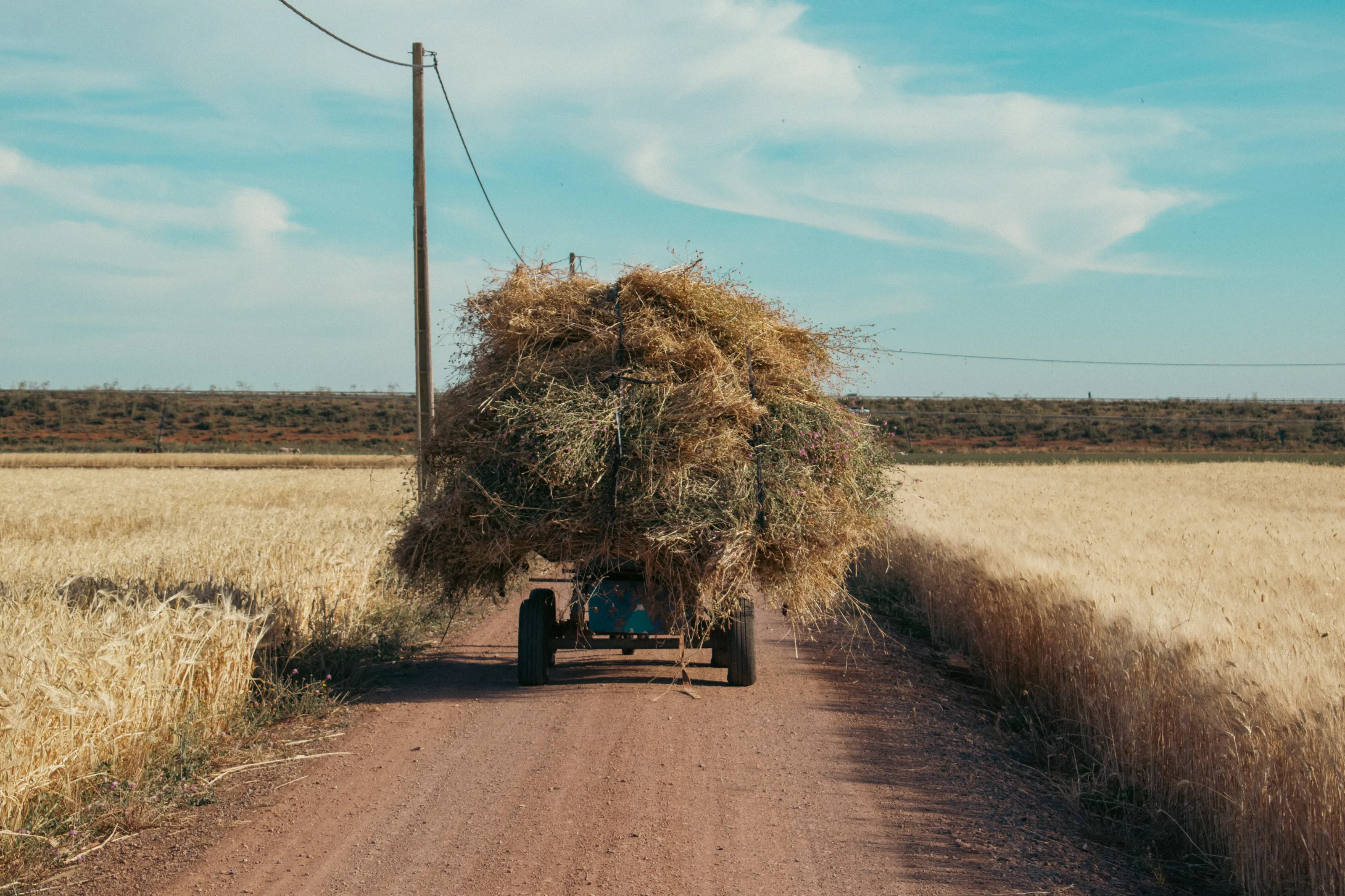 Harvest Journey, the journey of transporting the harvest along a dirt road in a peaceful, open lands