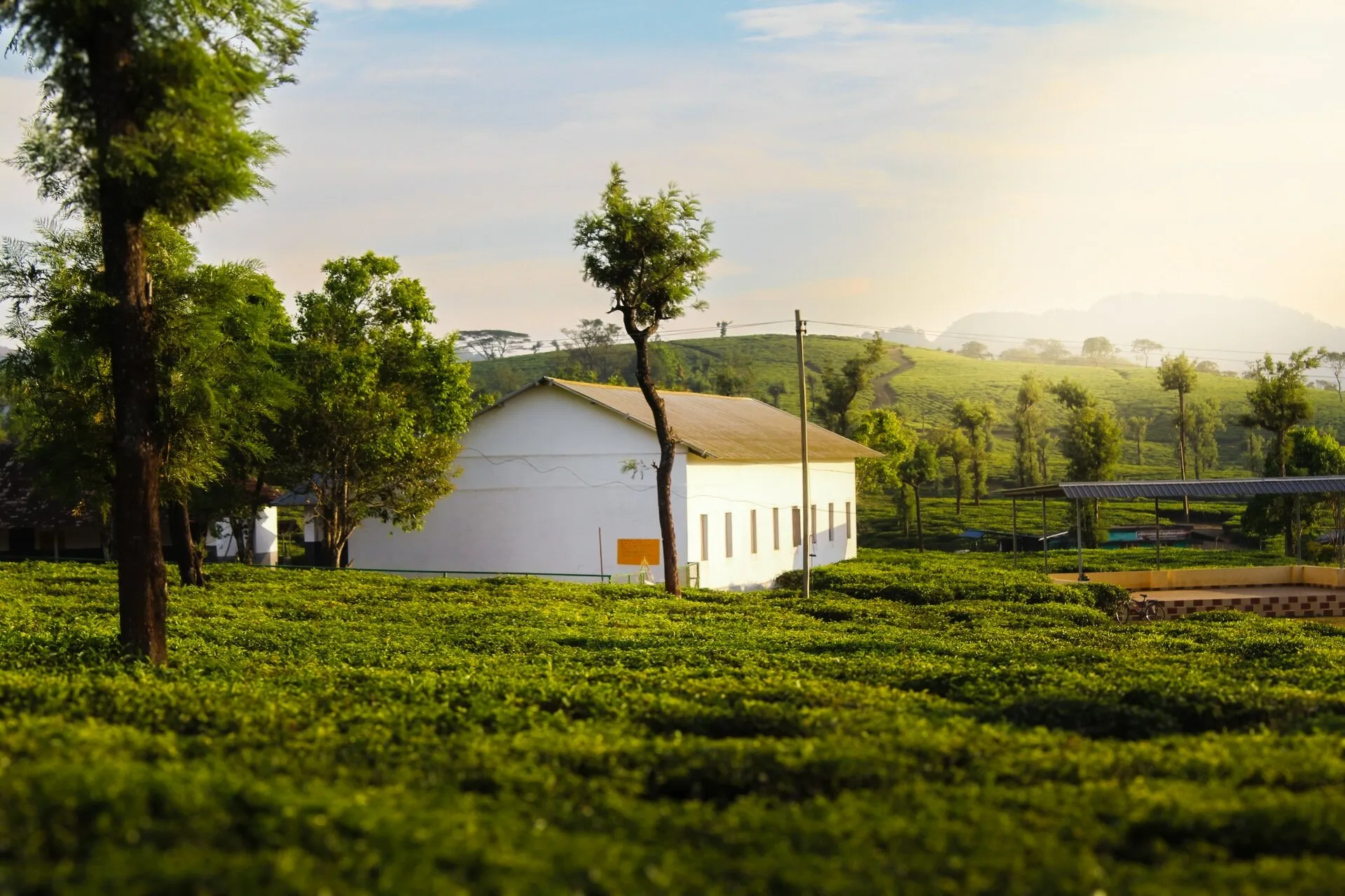 A pristine white building is depicted, featuring a sleek design that contrasts beautifully