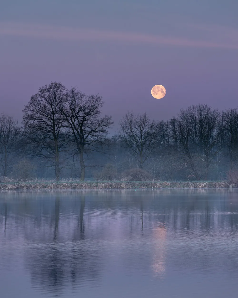 Entry 22307850