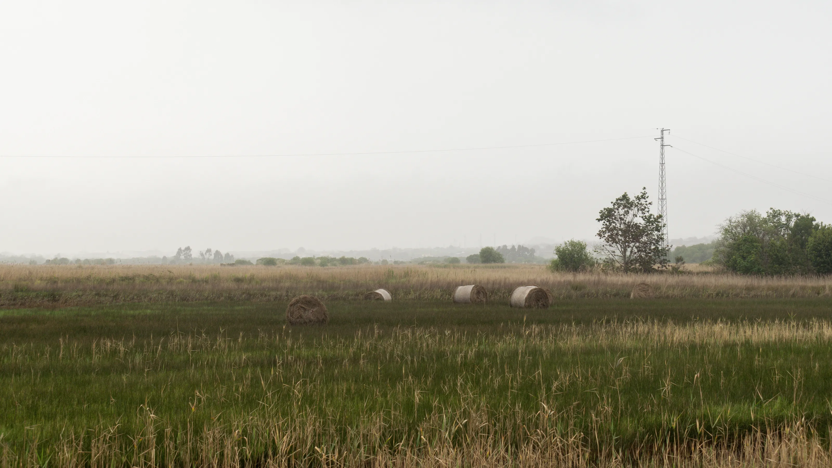 Straw Bales