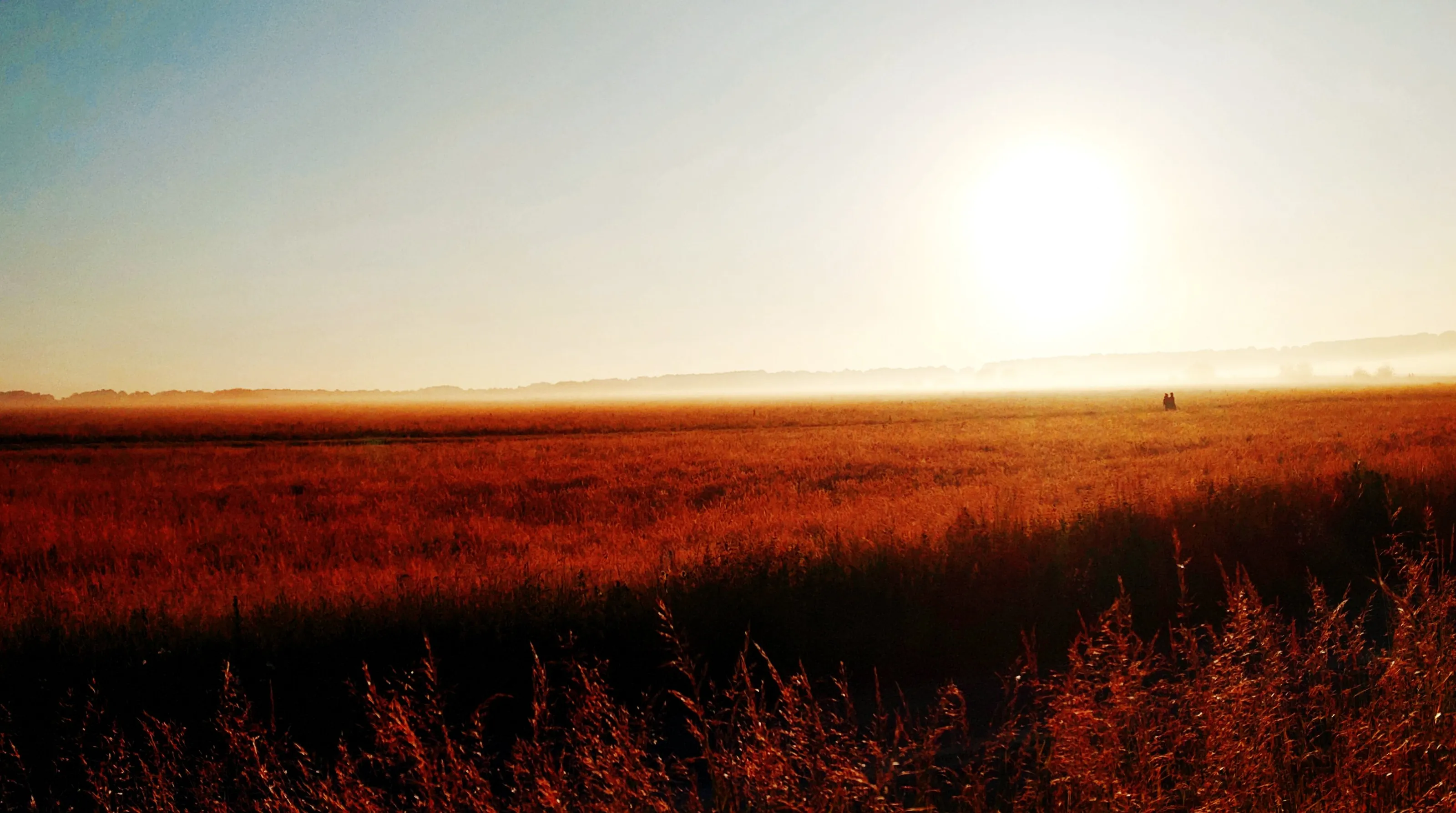 Sunrise over fields