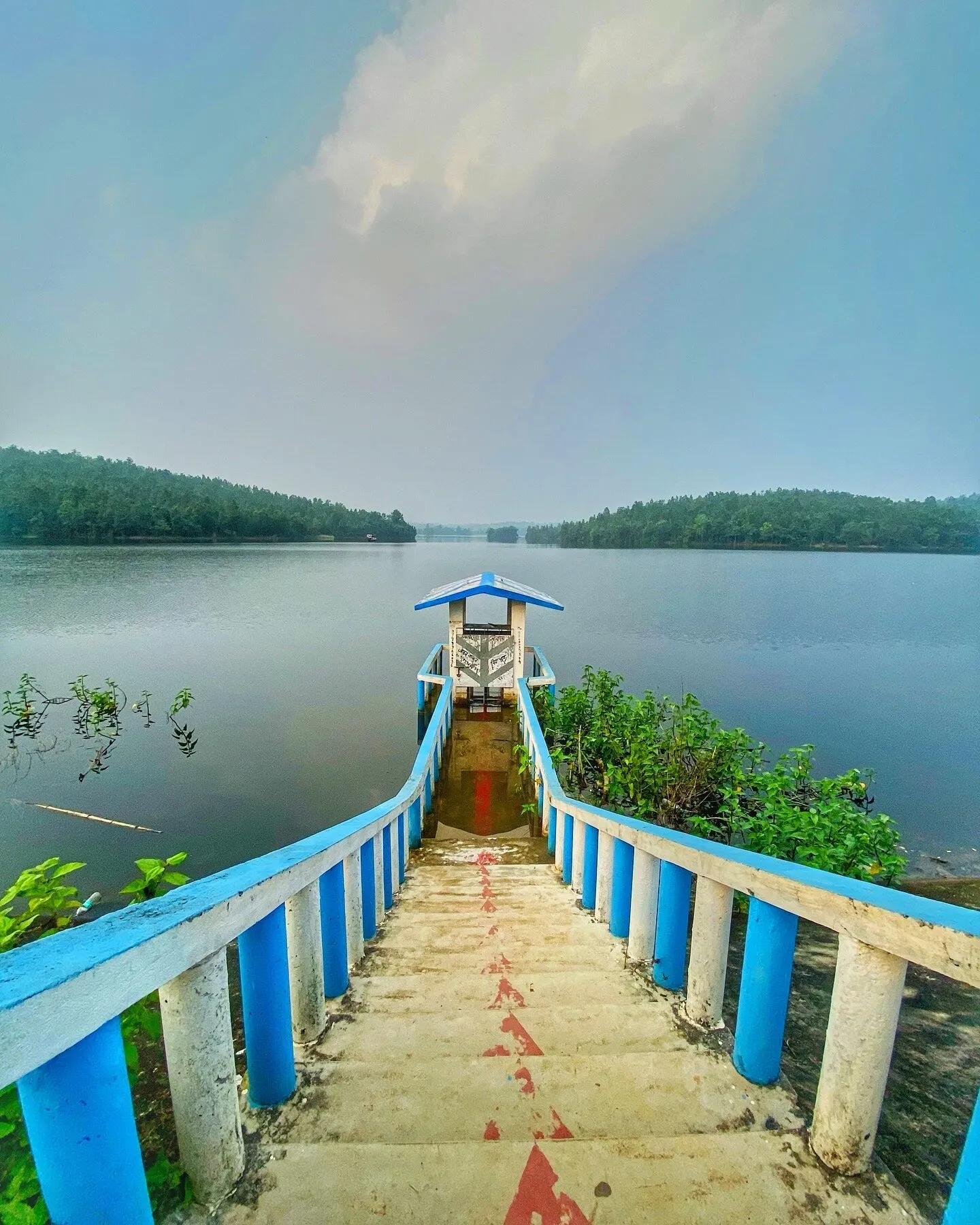 Banner image
