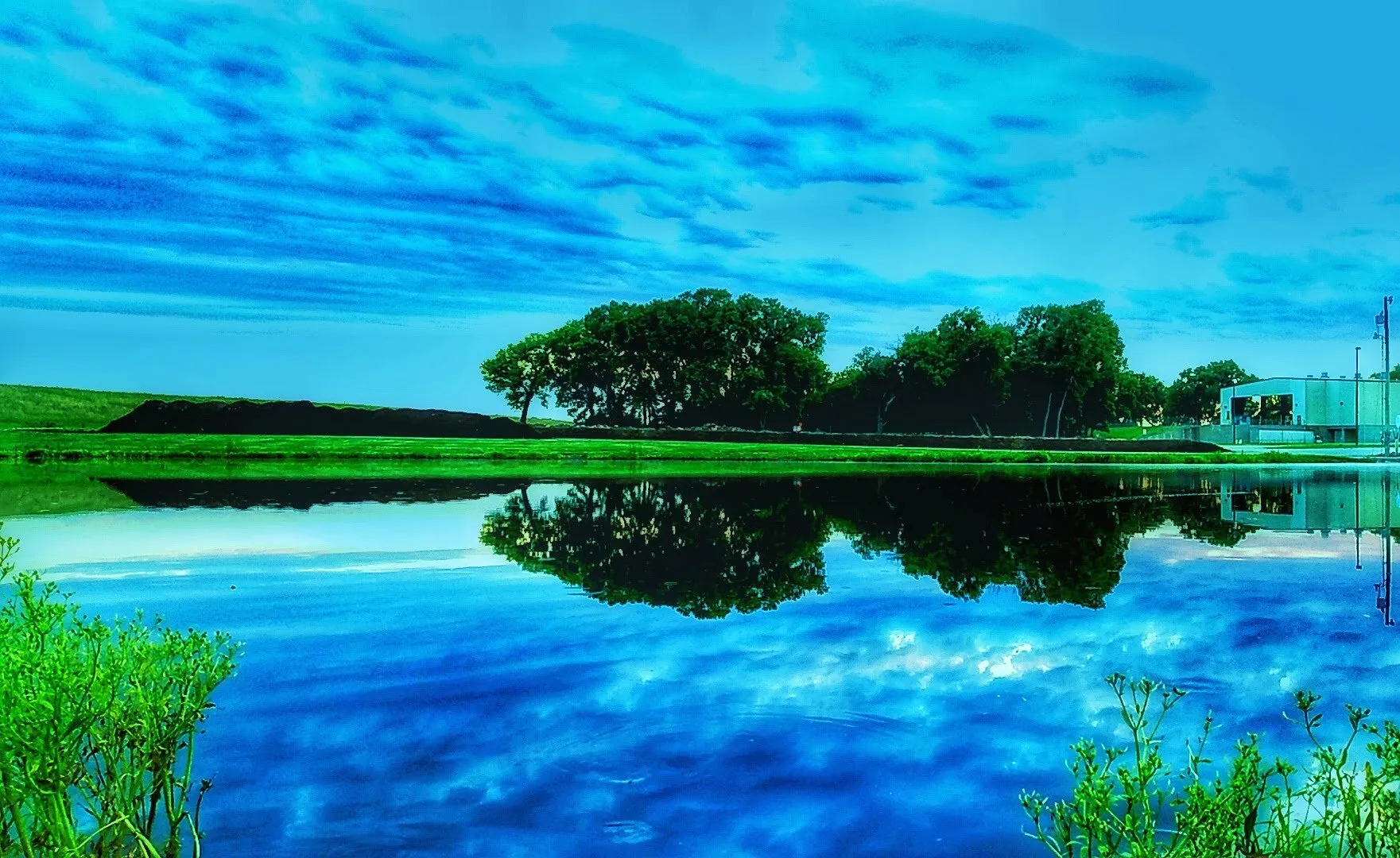 Blue skys