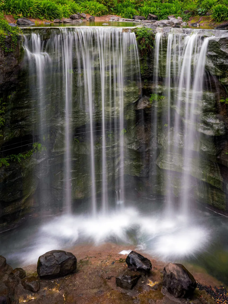 Entry 22768654