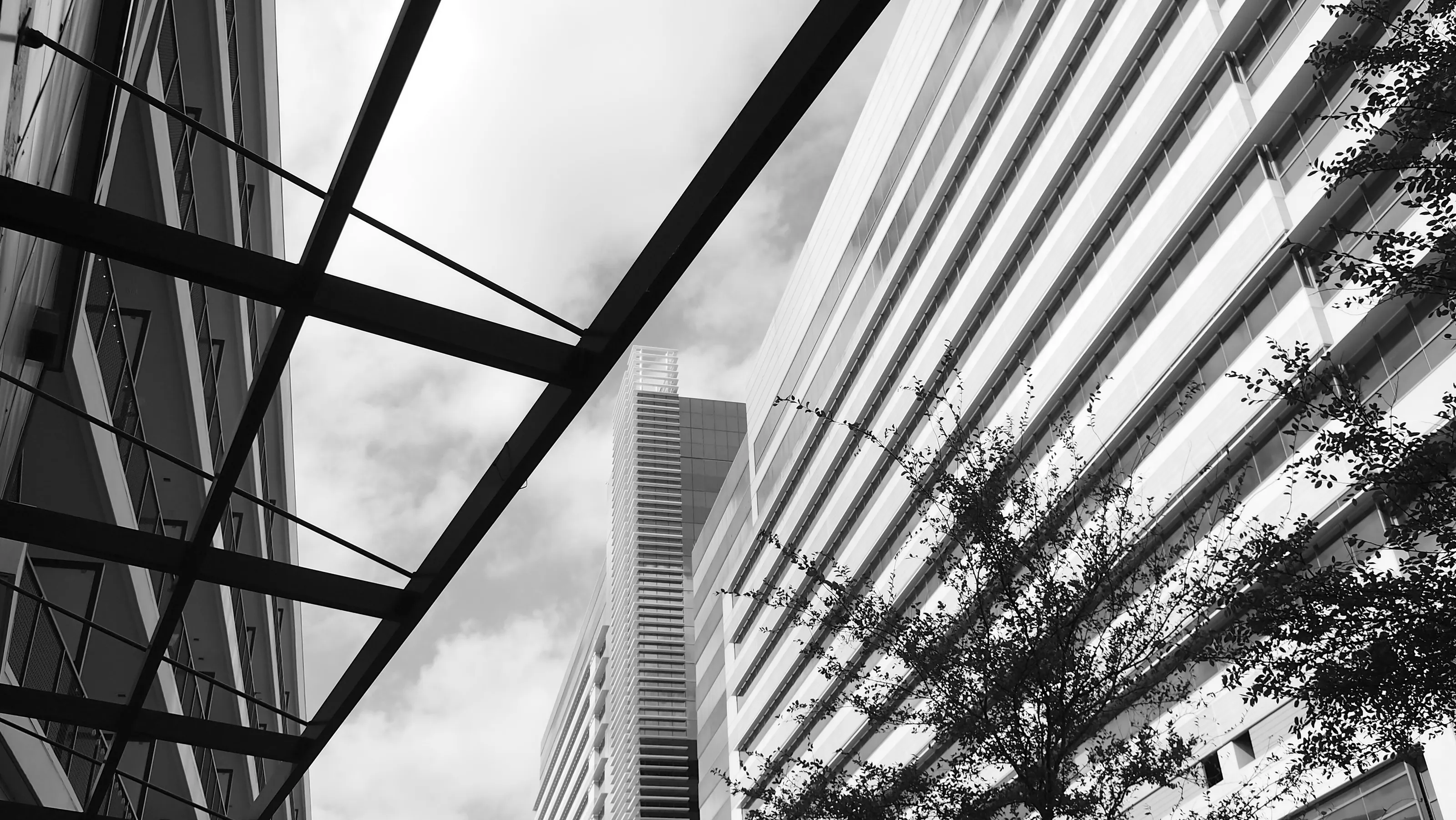 City Angles