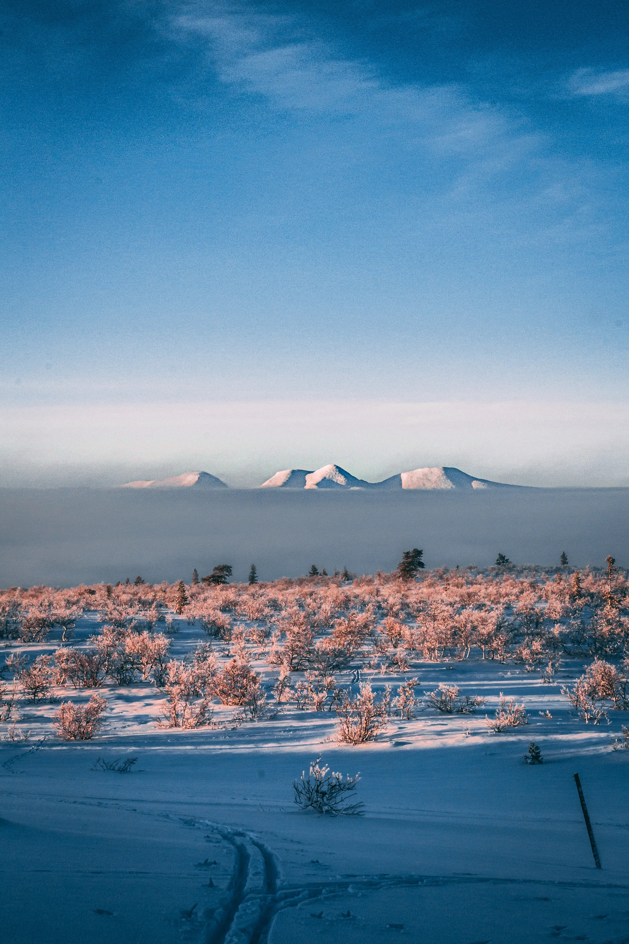 The Misty Mountains