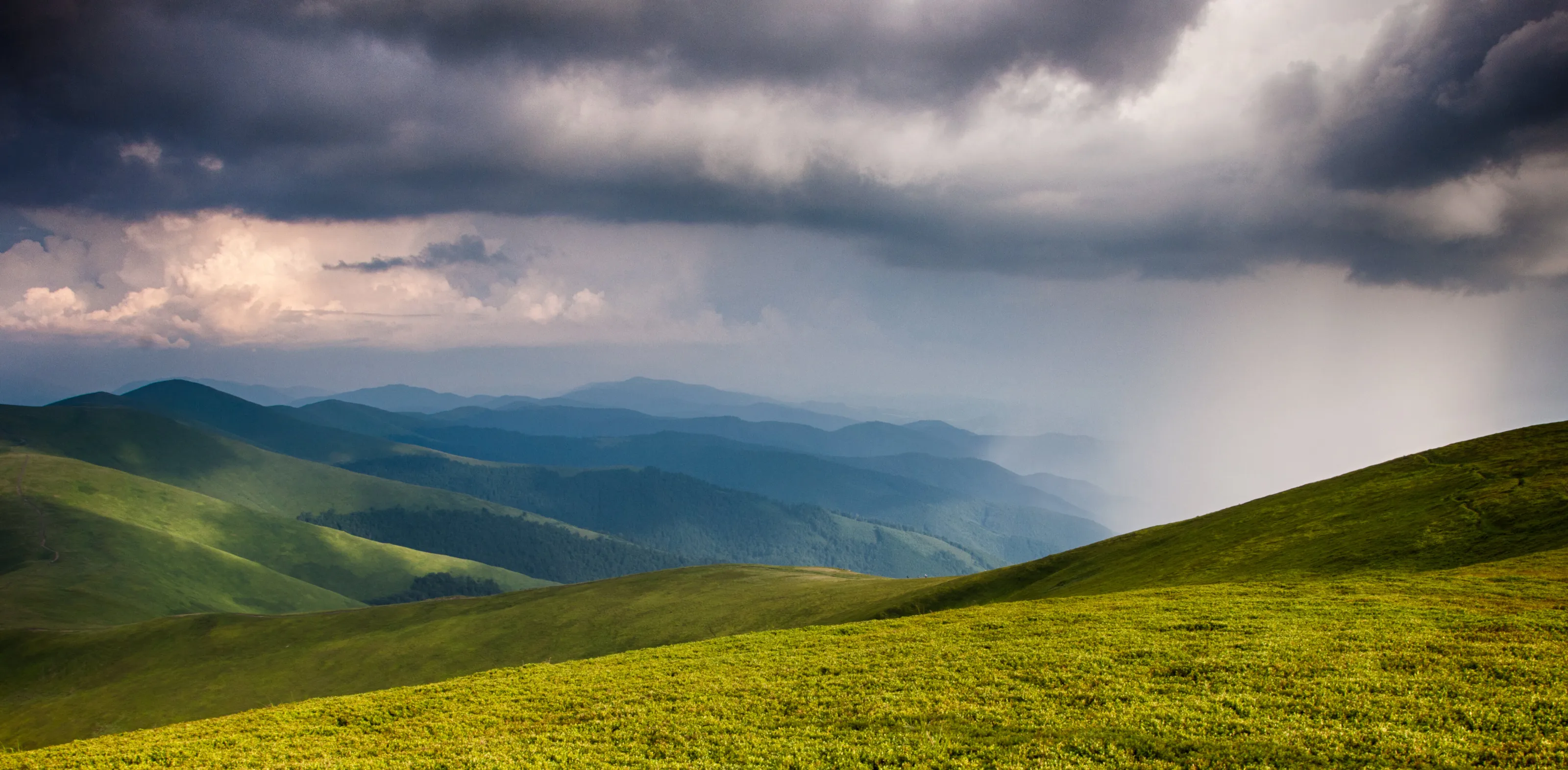 Polonina Borzava (Carpathians, Ukraine)