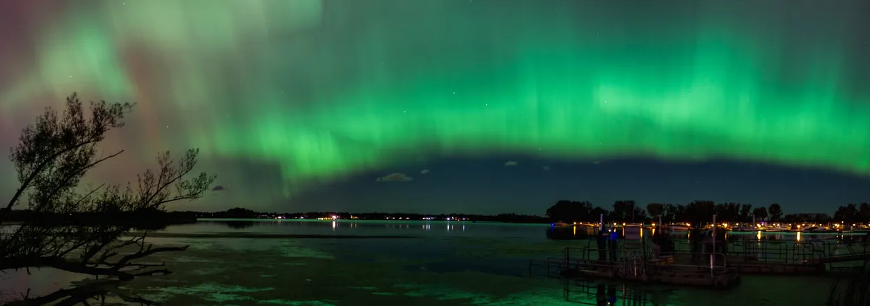 Entry 22350785