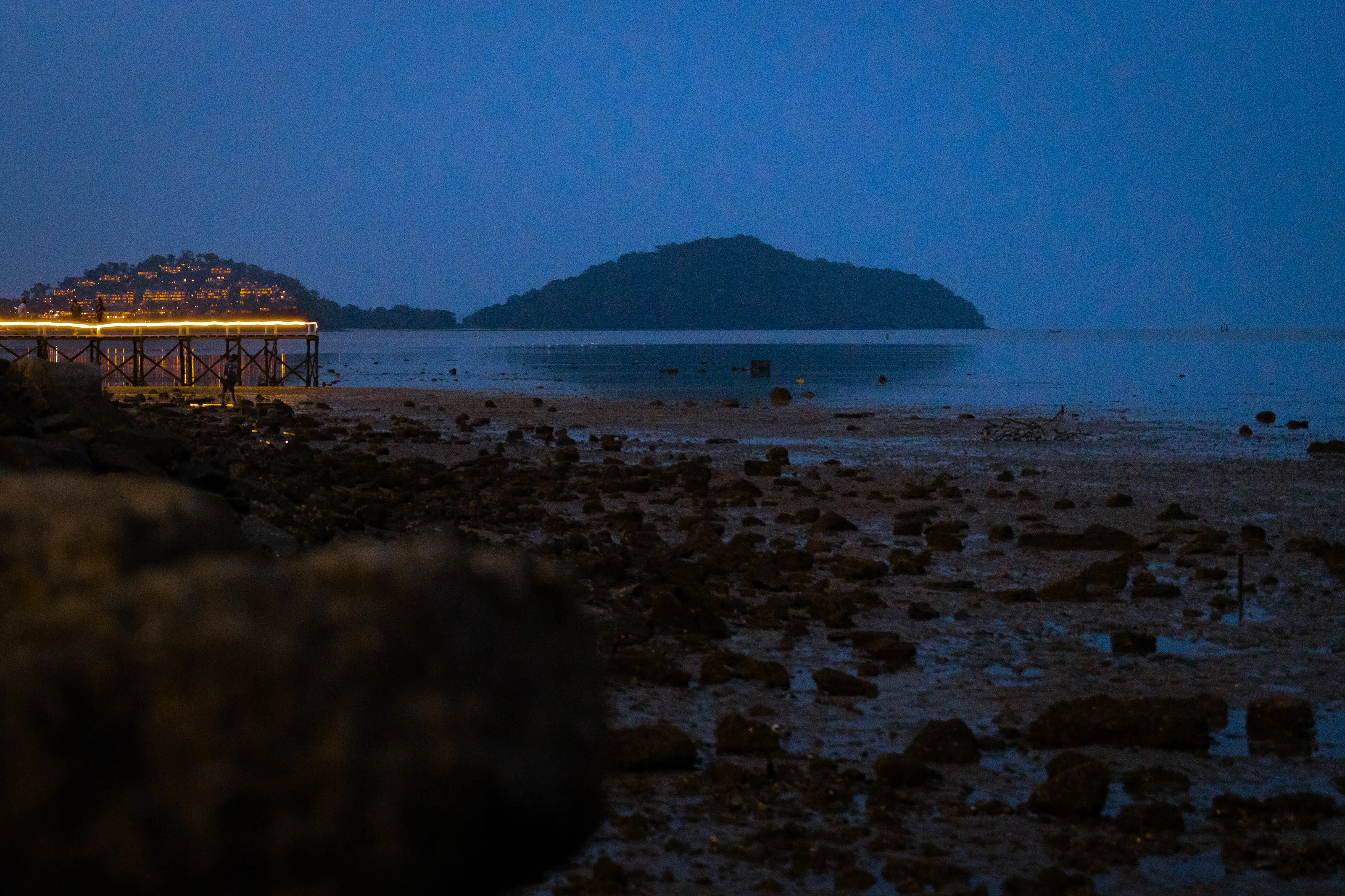 Twilight Reflections: Lights Across the Bay