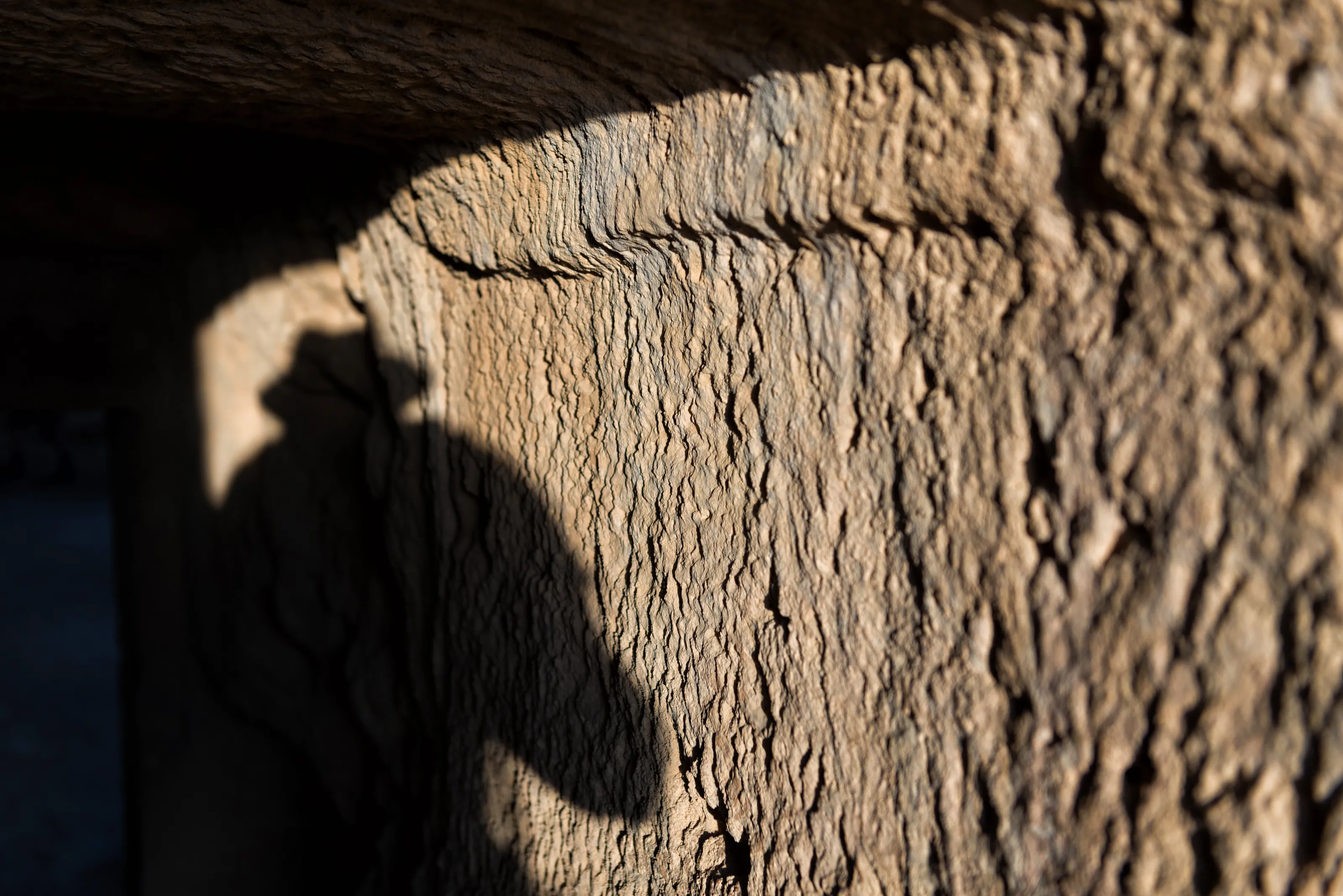 The Shadow