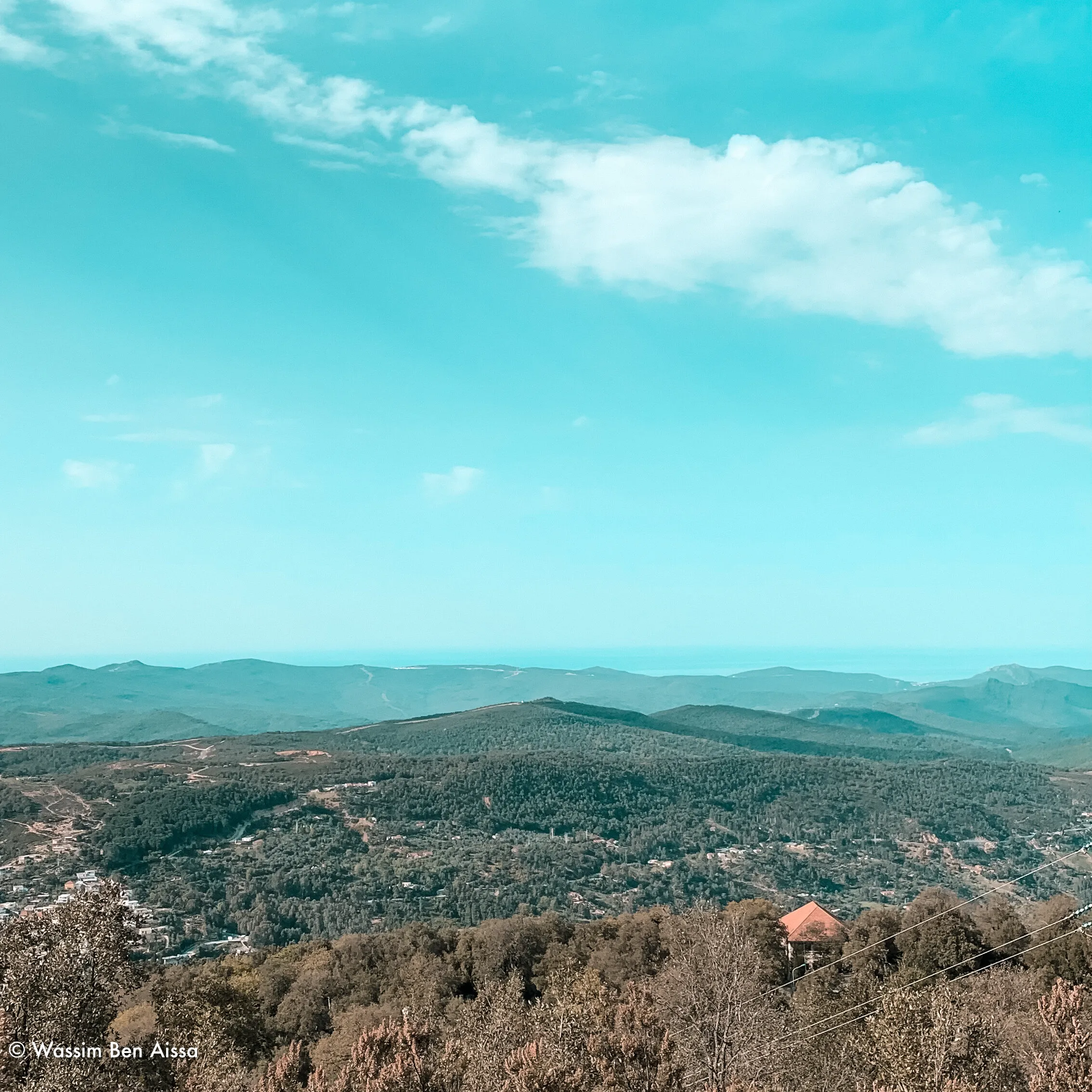 EagleView