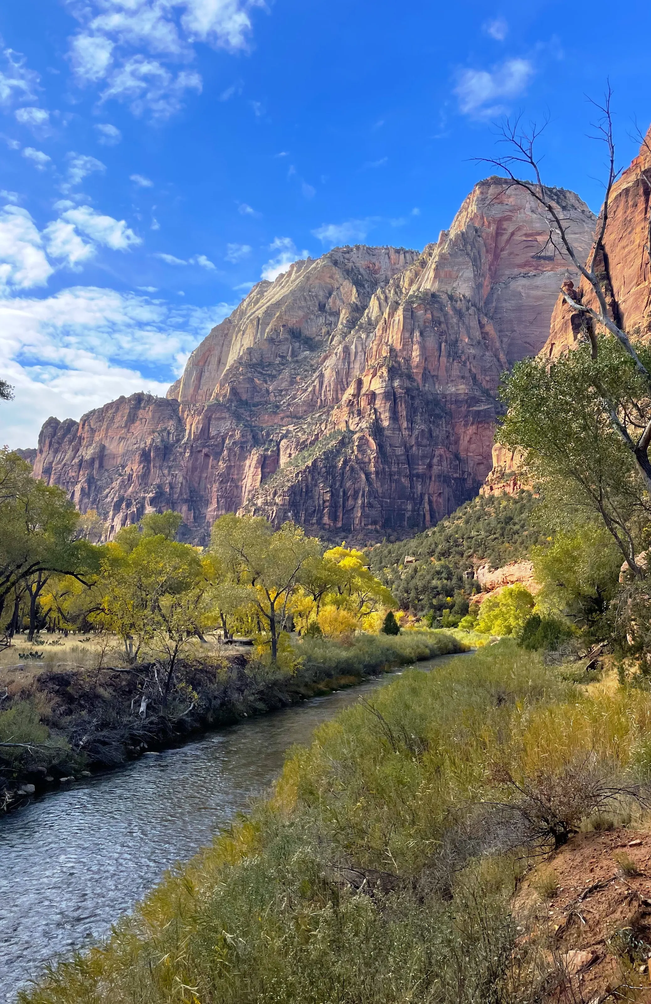Late fall at Zion National Park