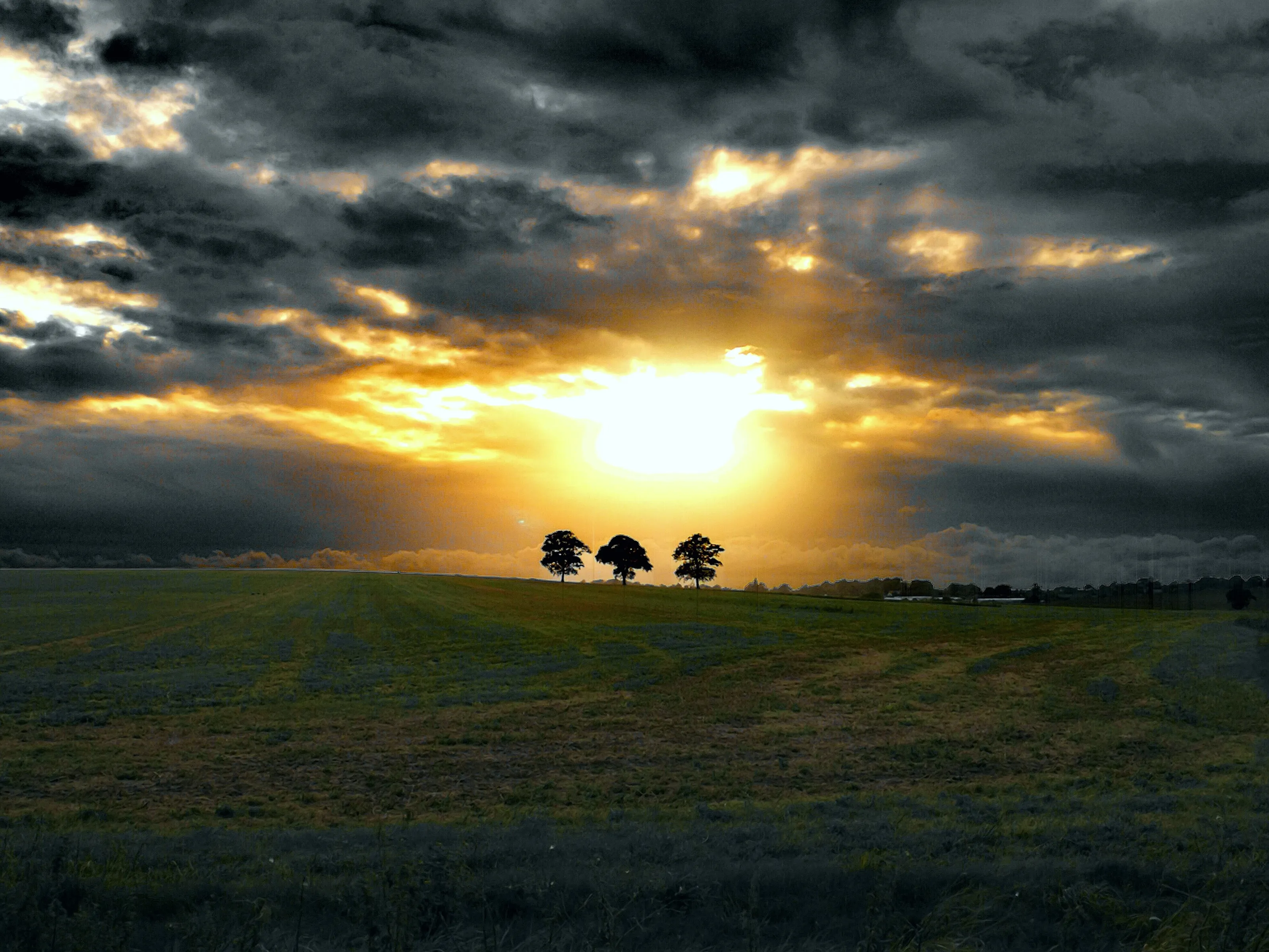 Three Lone Trees