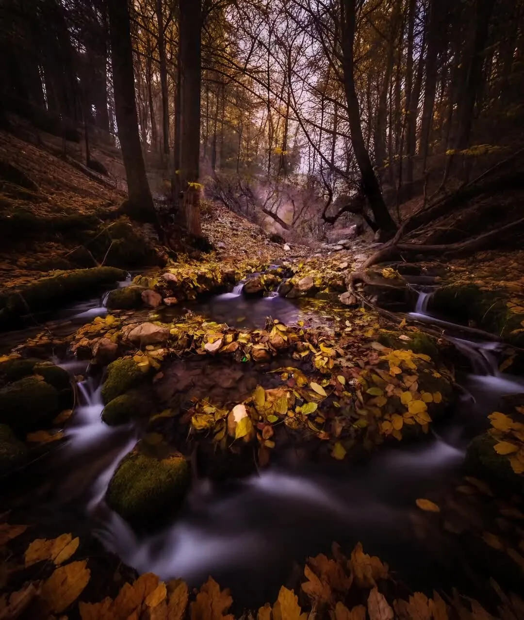 Fall