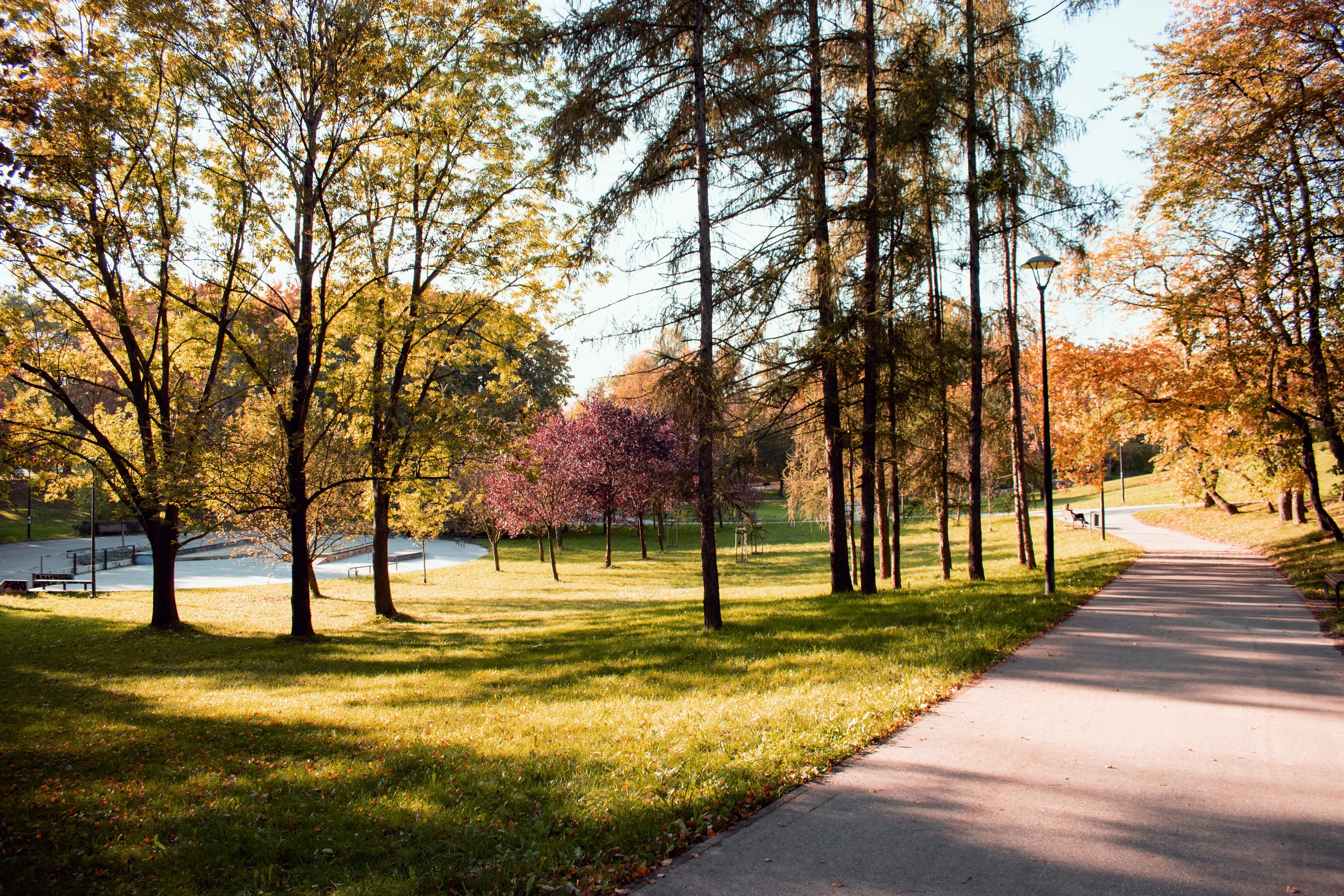 Autumn