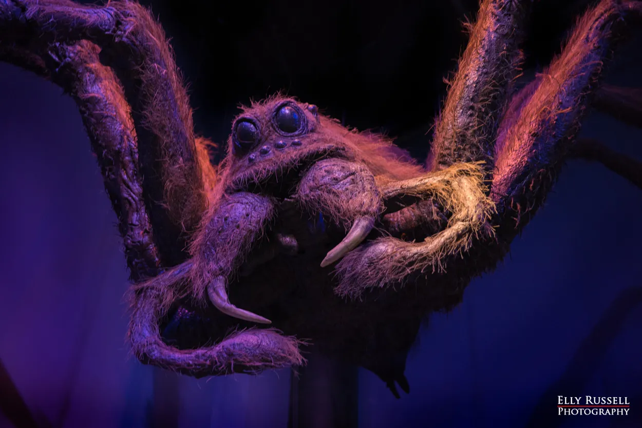 Entry 3049539