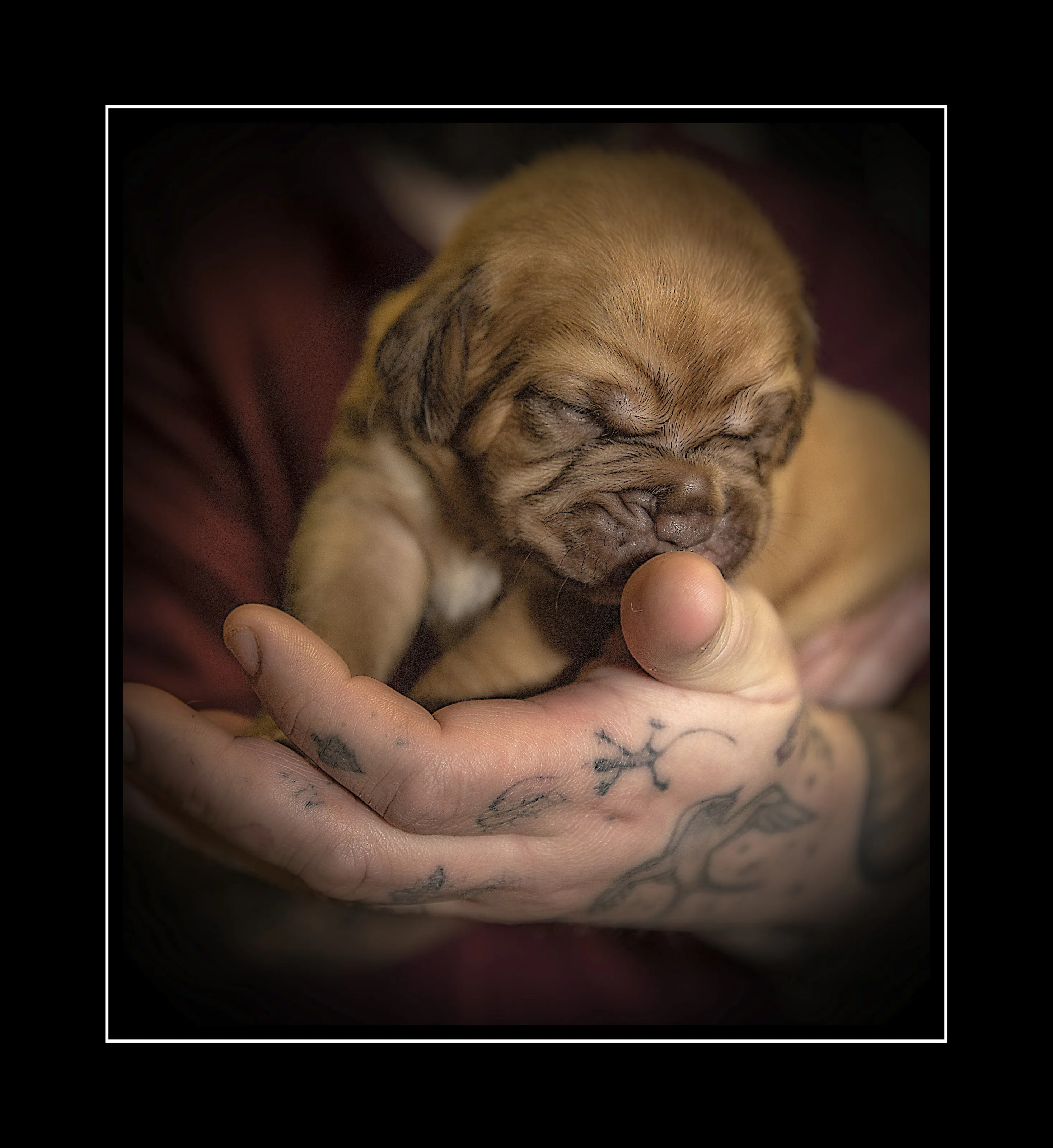 One in the hand