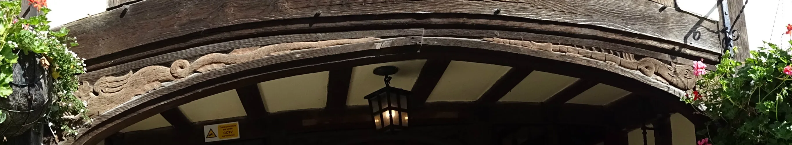 Dragon Door
